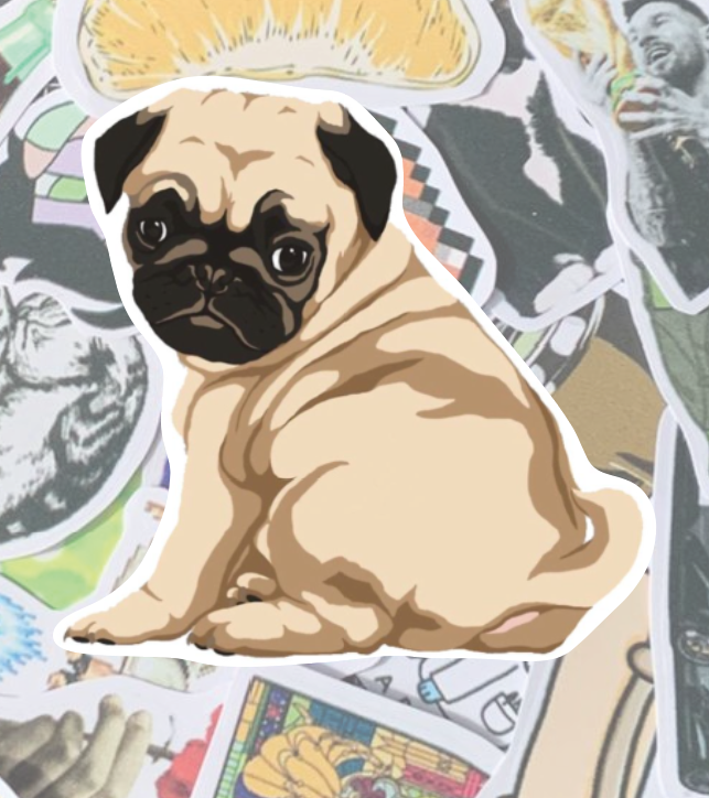 Pug