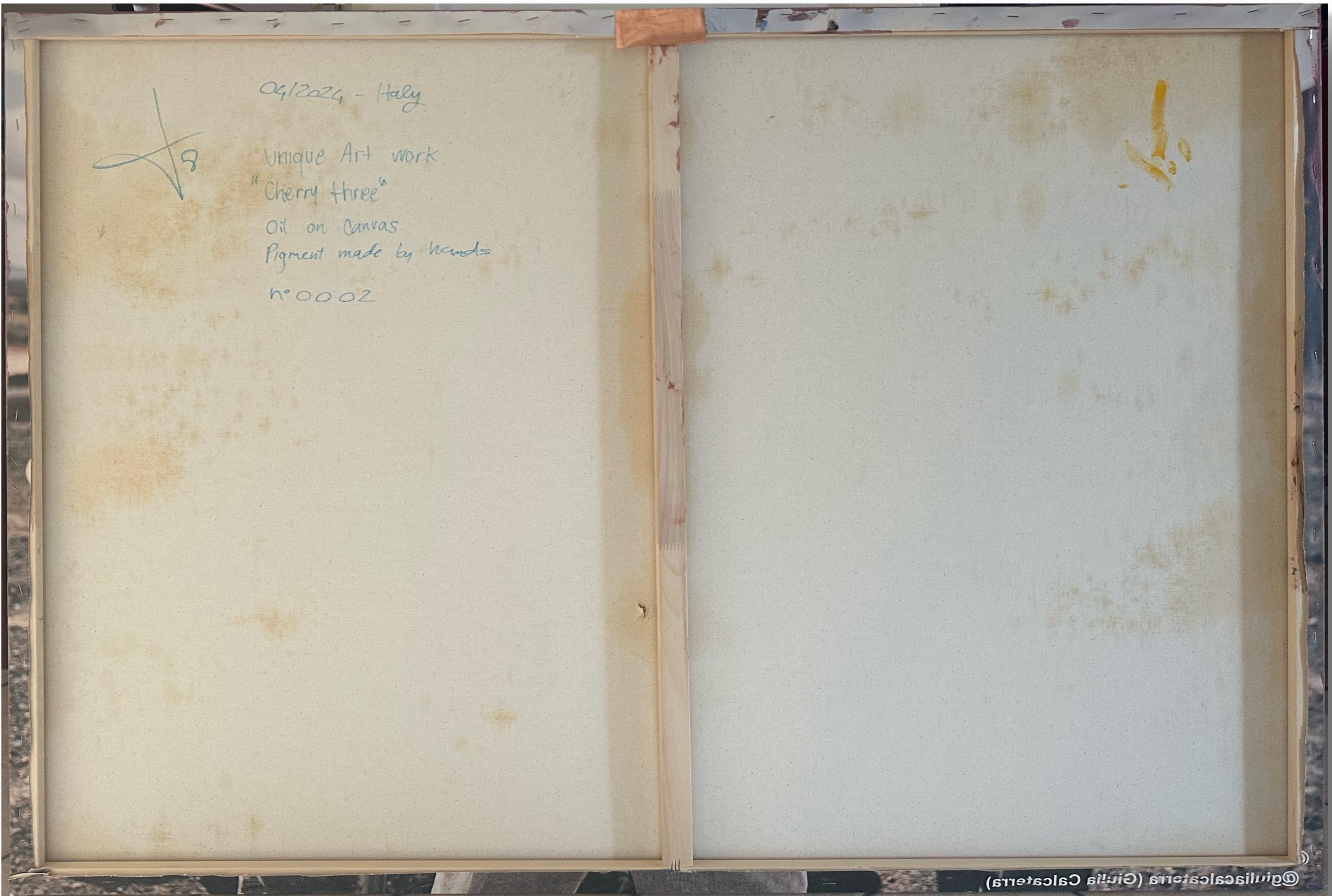 "Cherry Tree" Judy Mazzotti 2024 