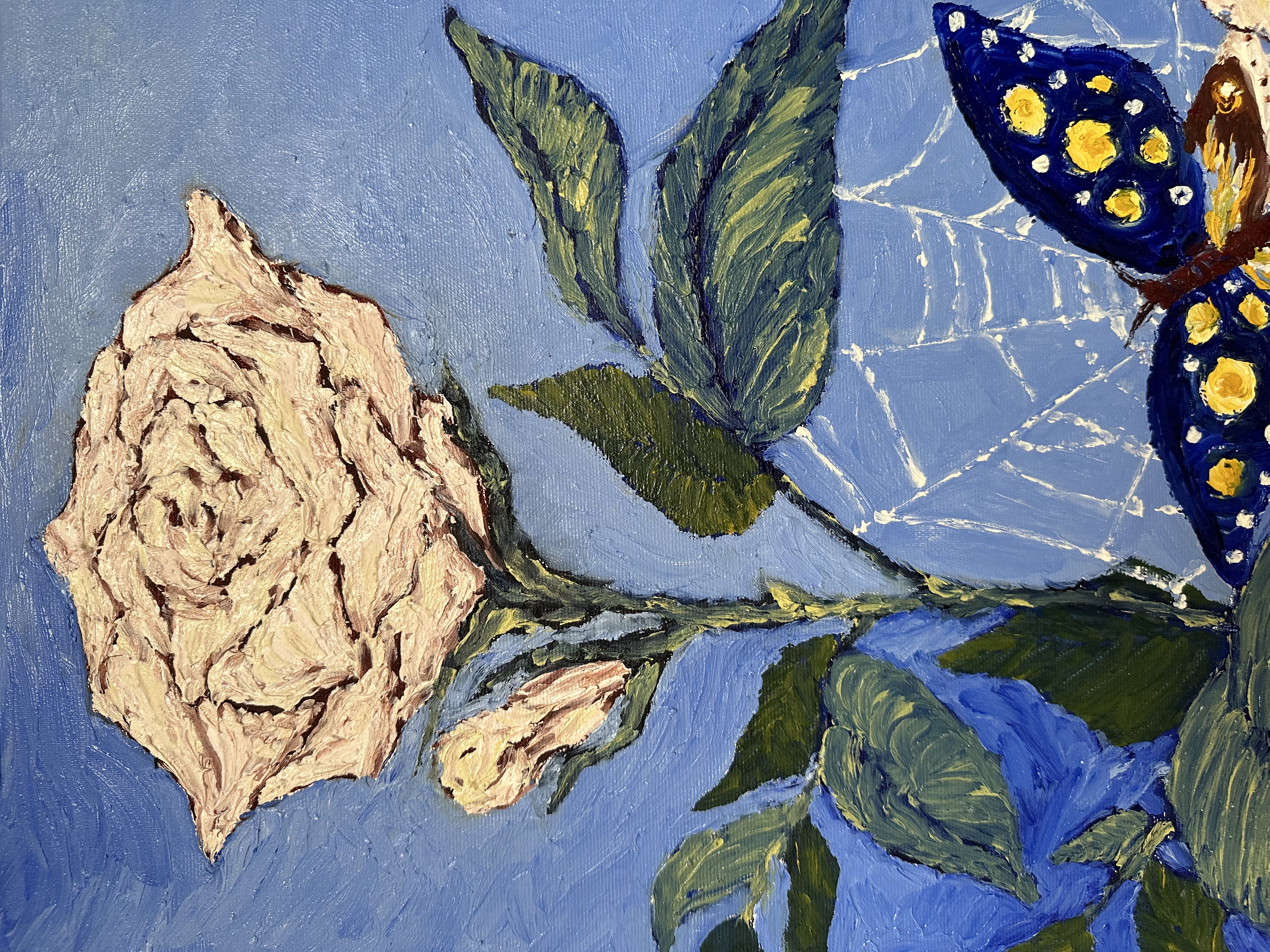 "aiuto" Judy Mazzotti 2025 