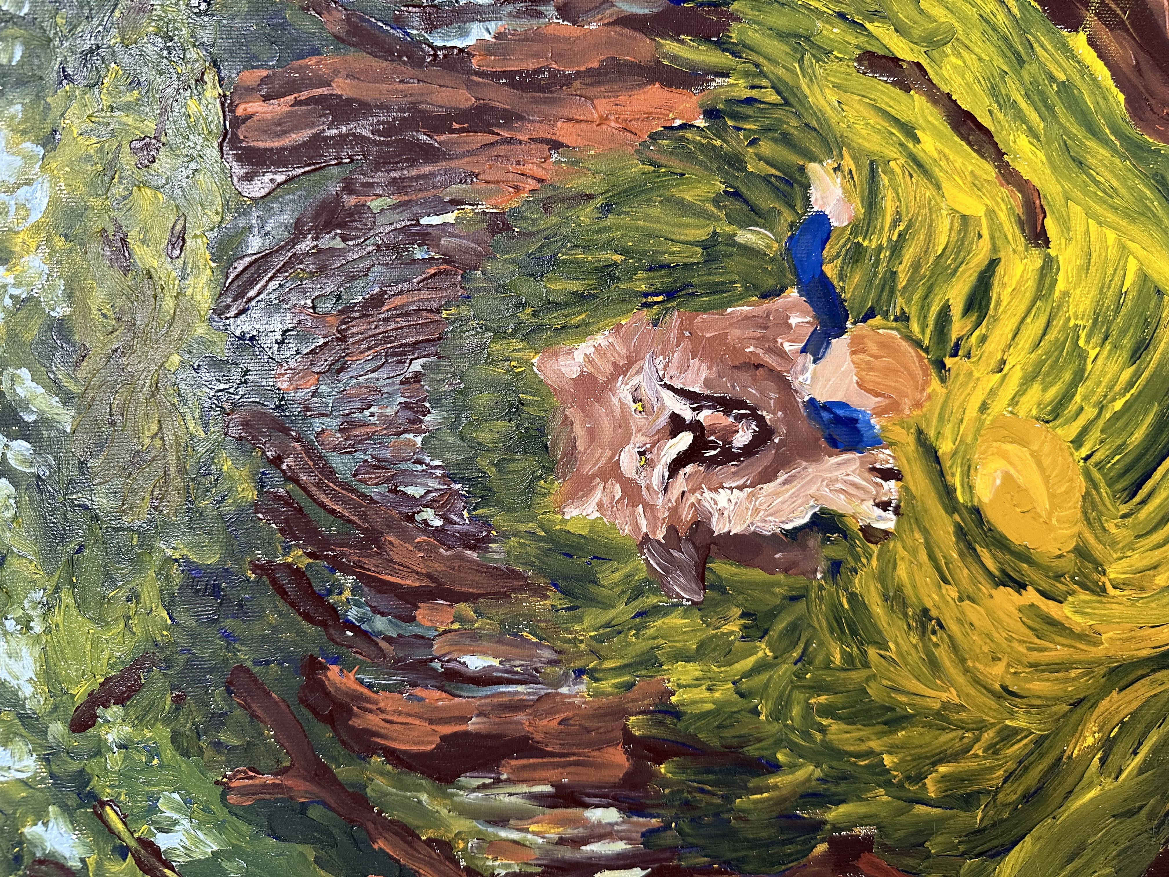 "l'attacco del lupo" Judy Mazzotti 2025 