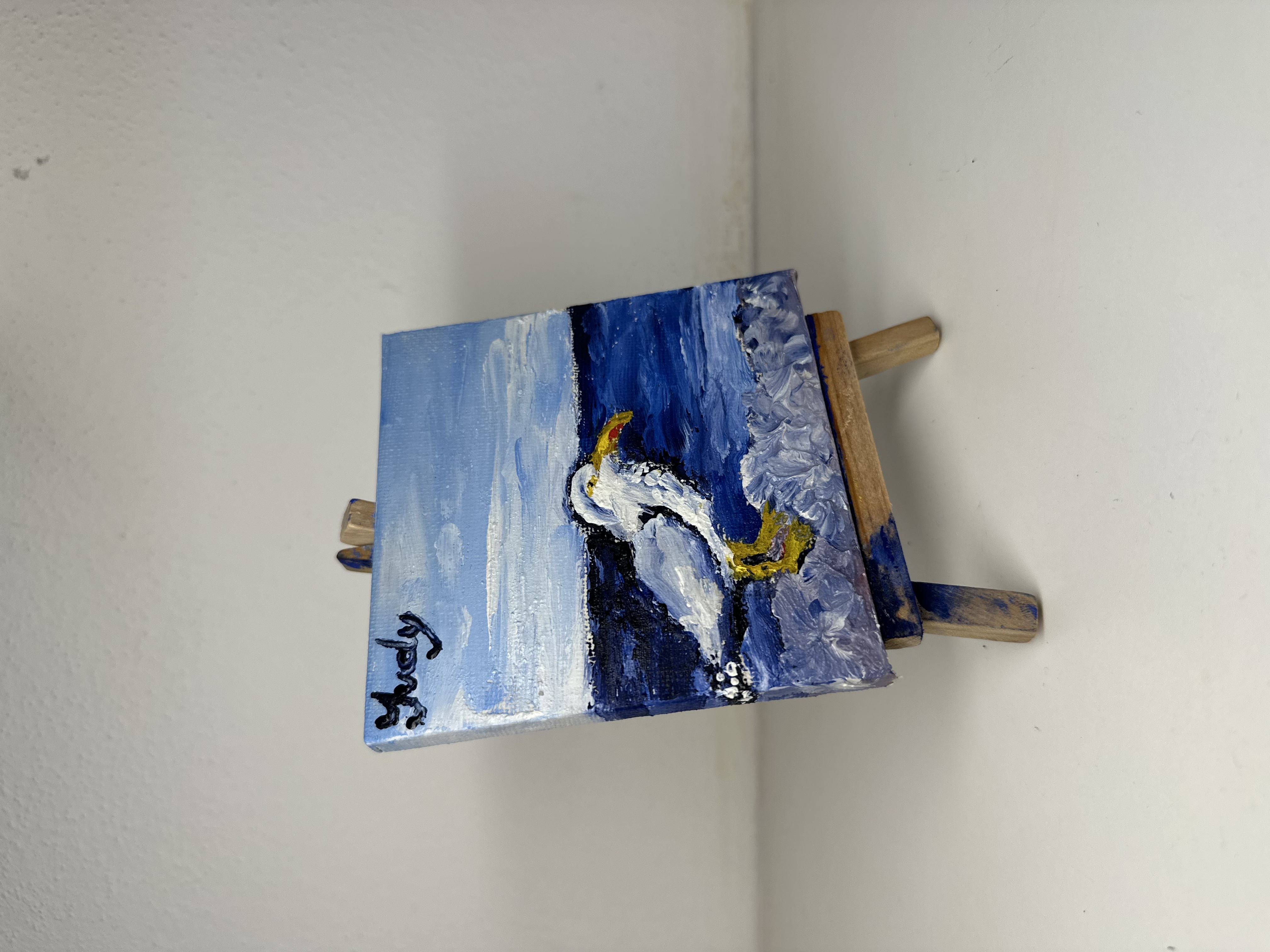"il gabbiano " Judy Mazzotti 2025 N°98