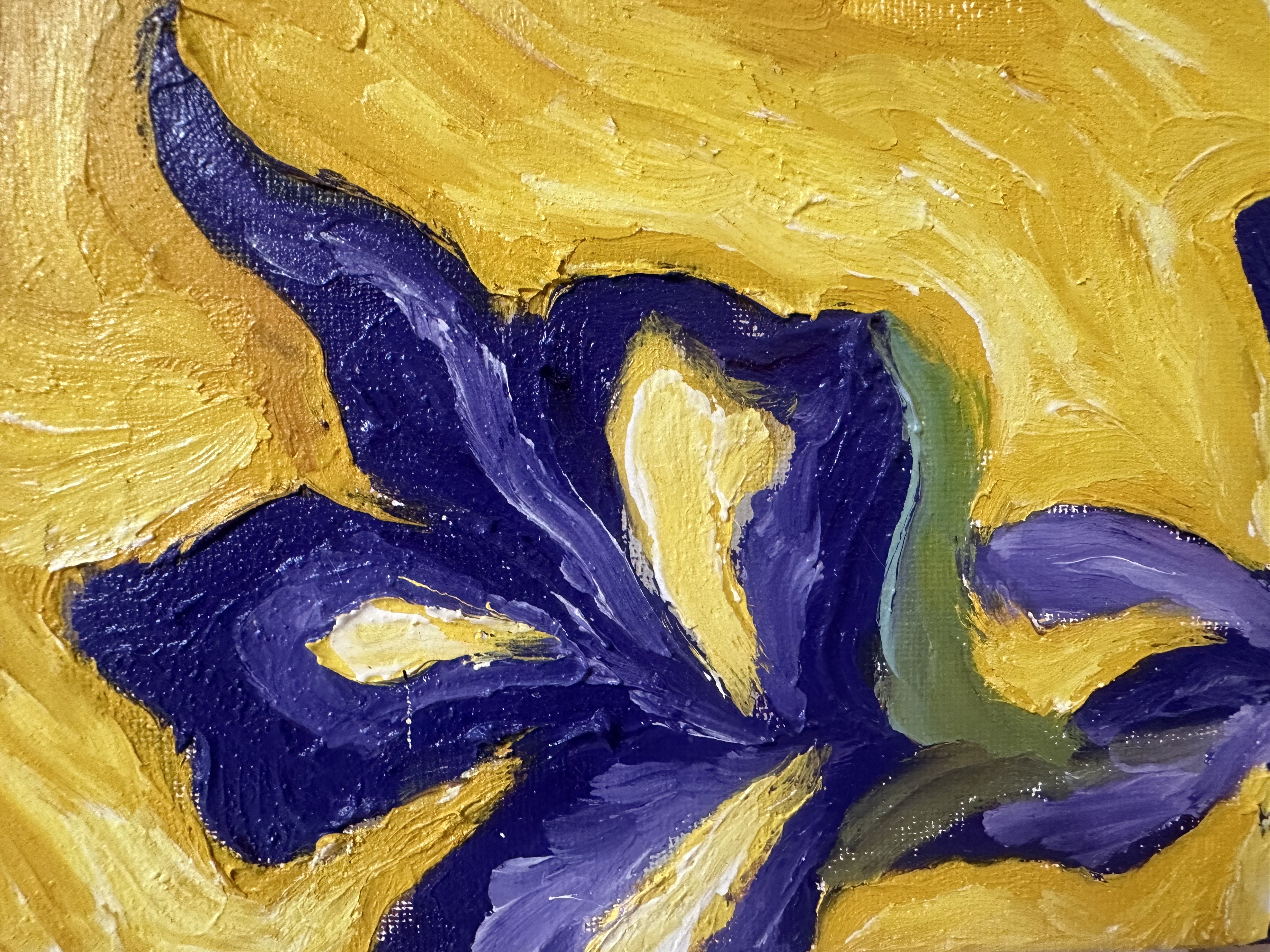 "Iris" Judy Mazzotti 2024 