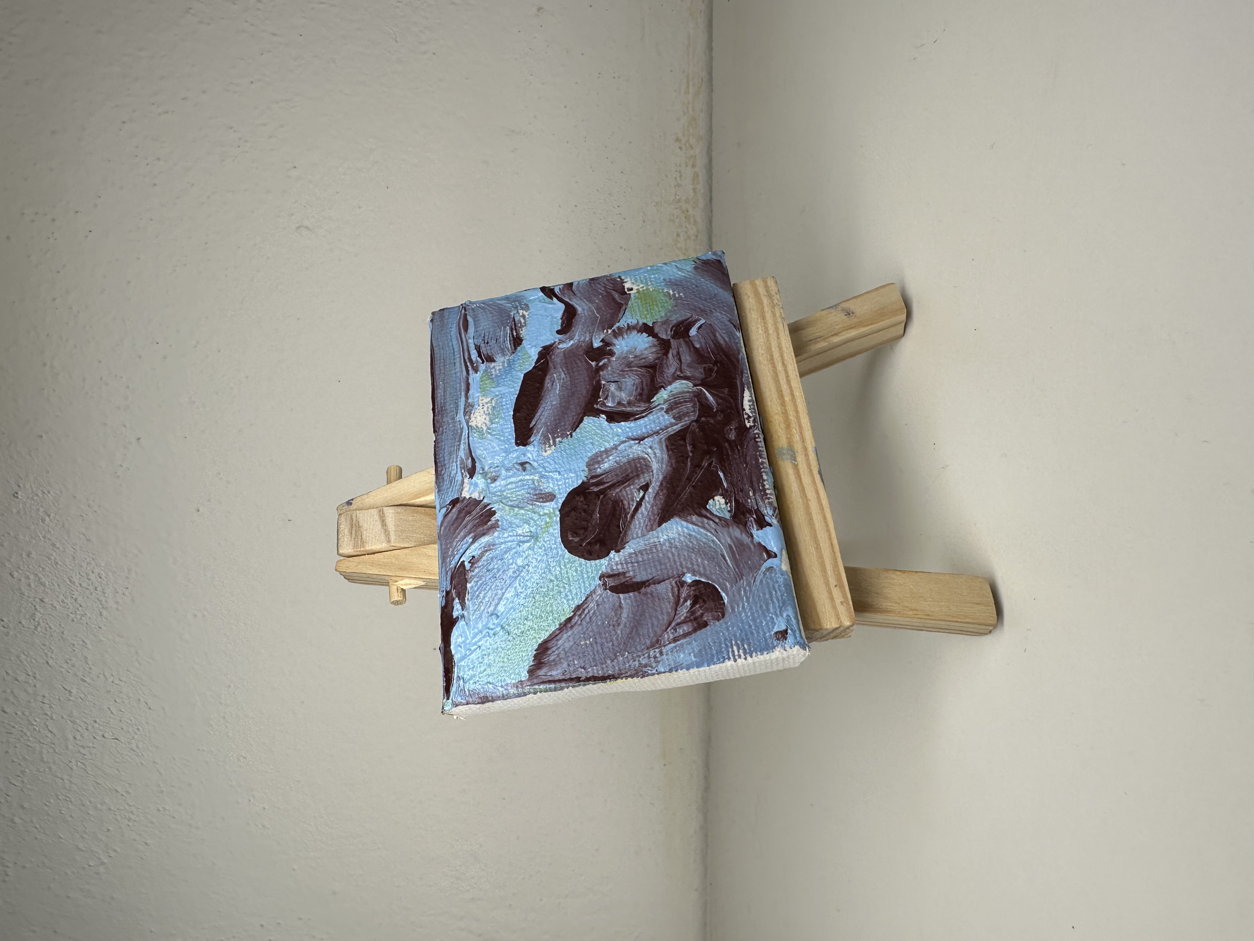 "Compassione" Judy Mazzotti 2025 