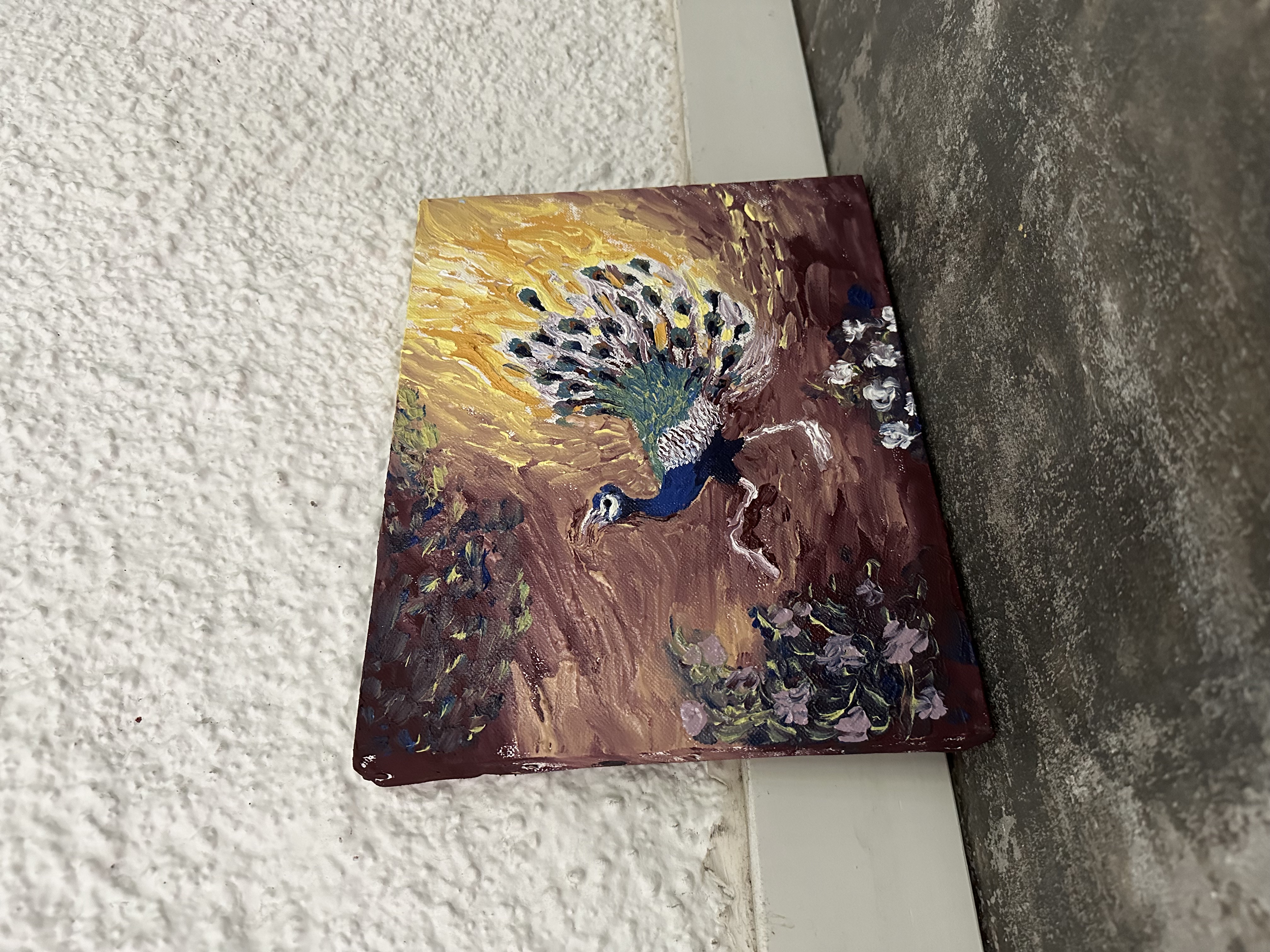 "la vanità" Judy Mazzotti 2024 