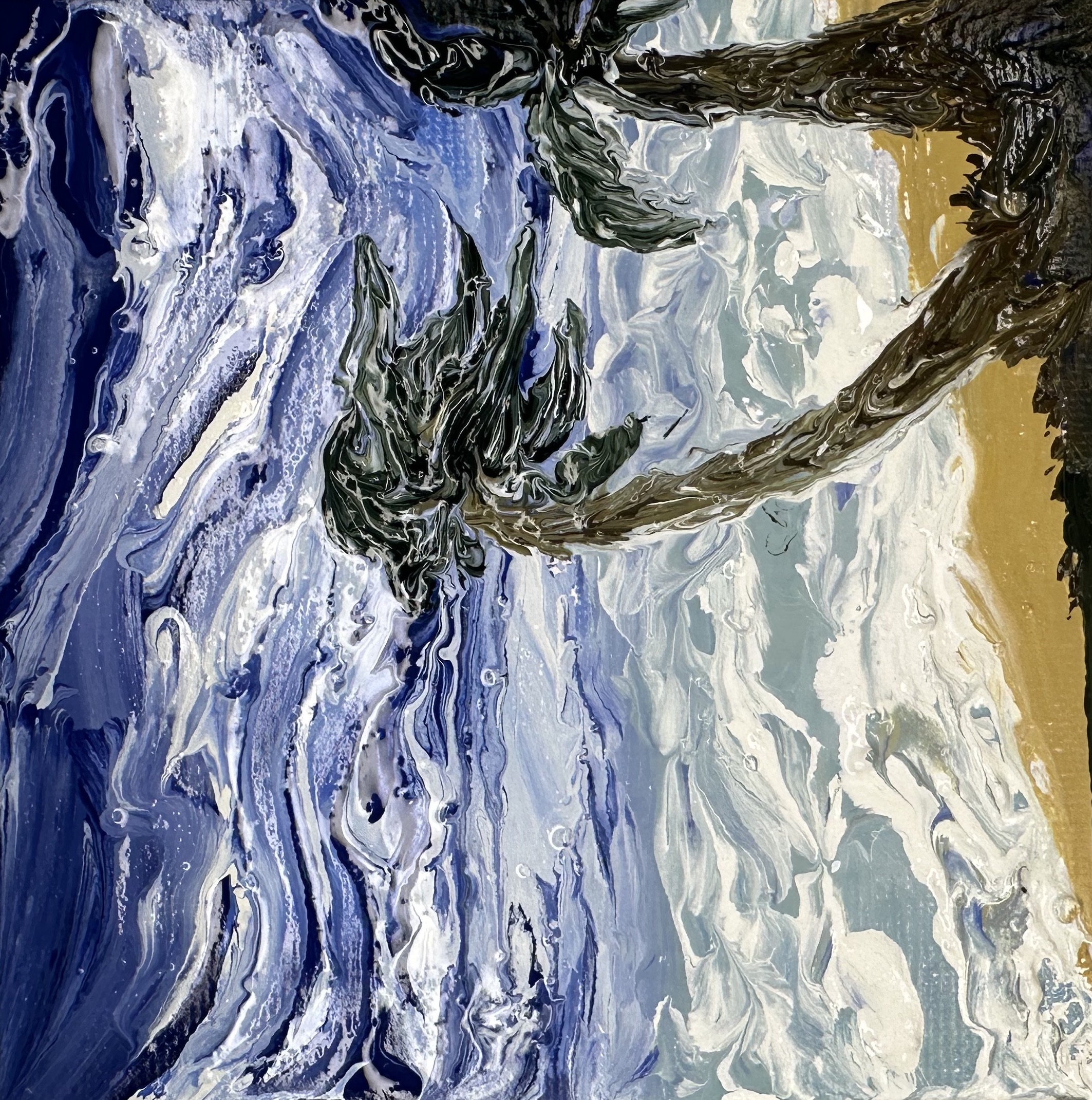 "Tempesta alle Seychelles" Judy Mazzotti 2025