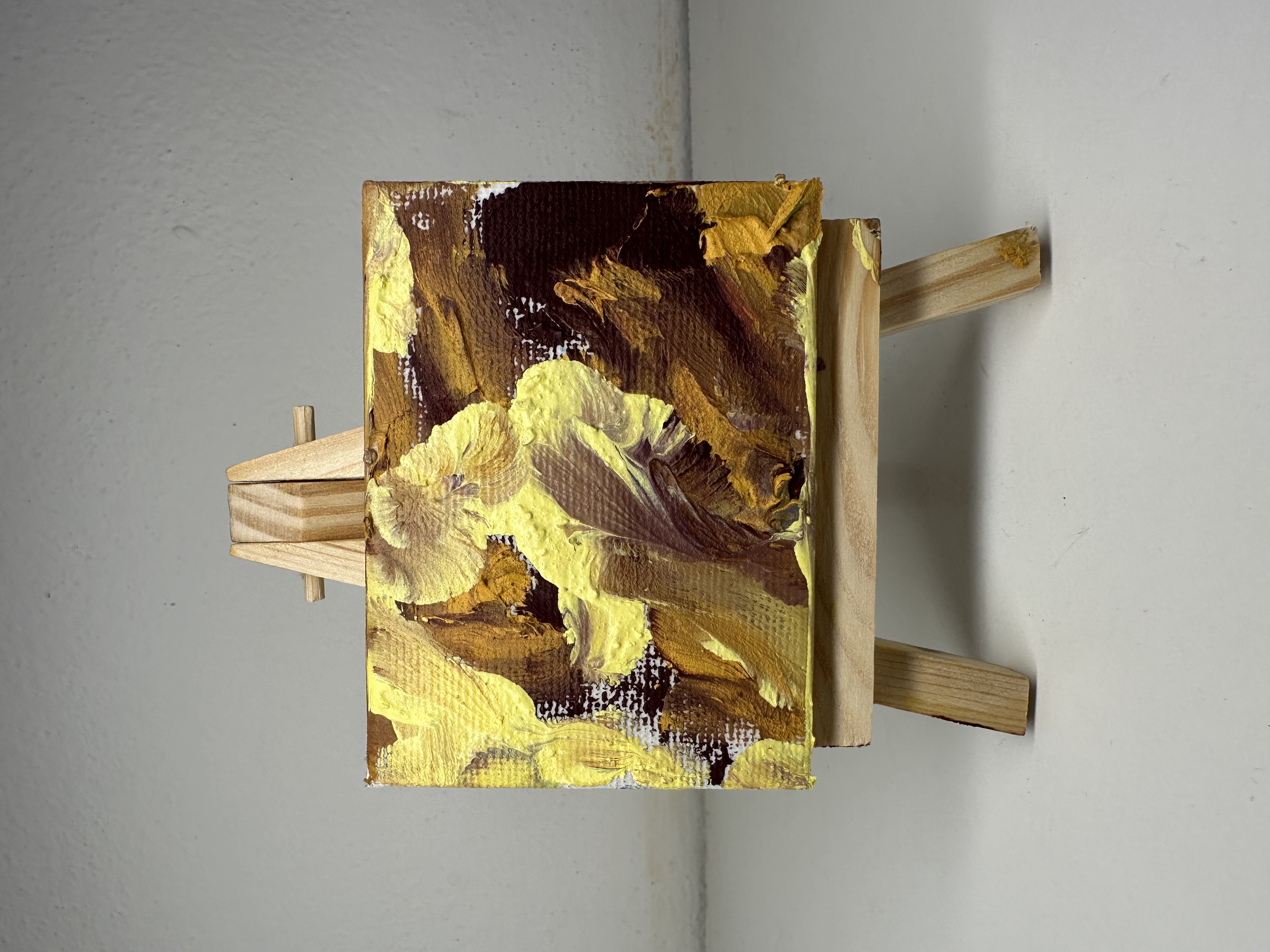 "Intrappolati" Judy Mazzotti 2025 N°34
