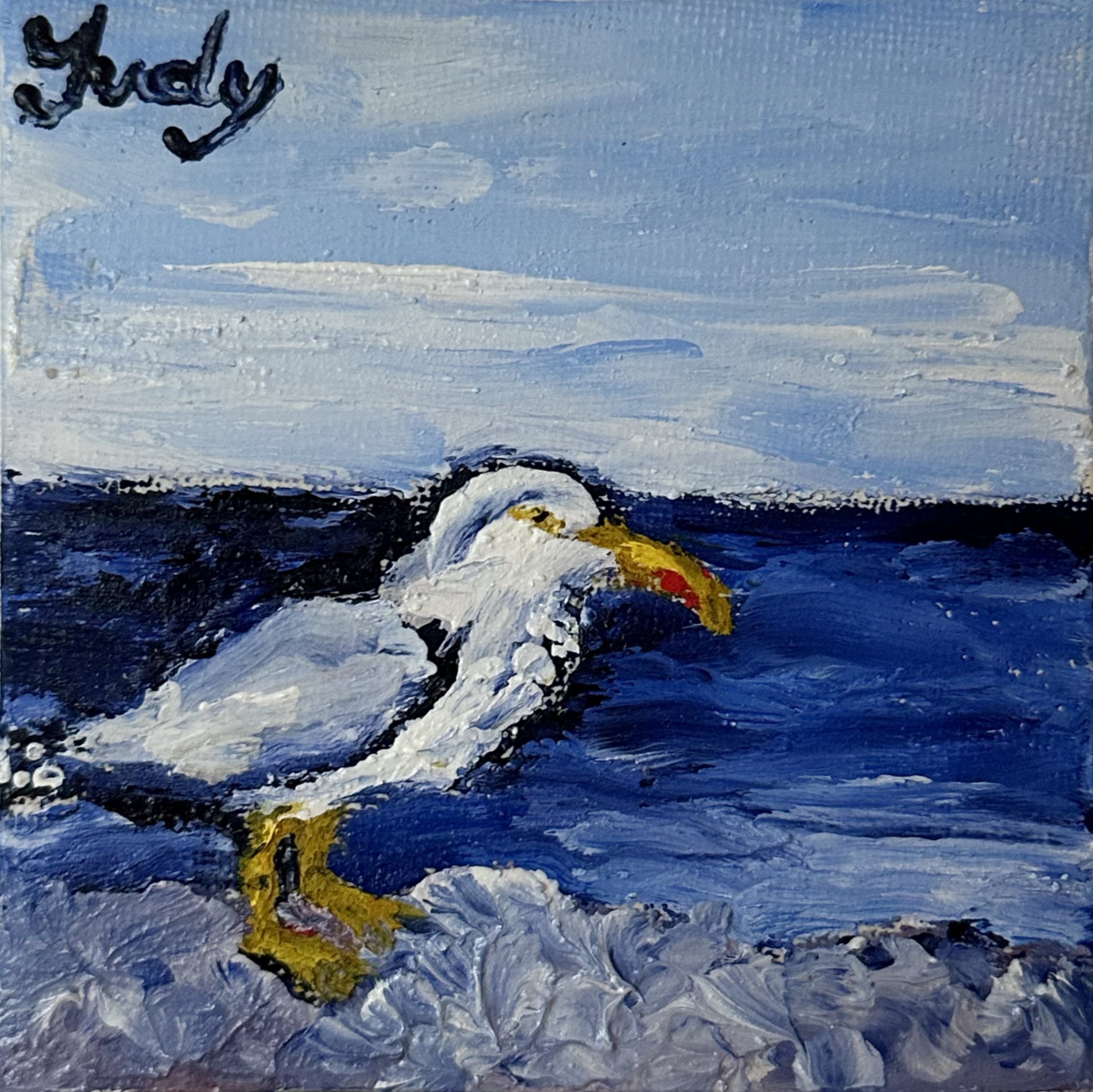 "il gabbiano " Judy Mazzotti 2025