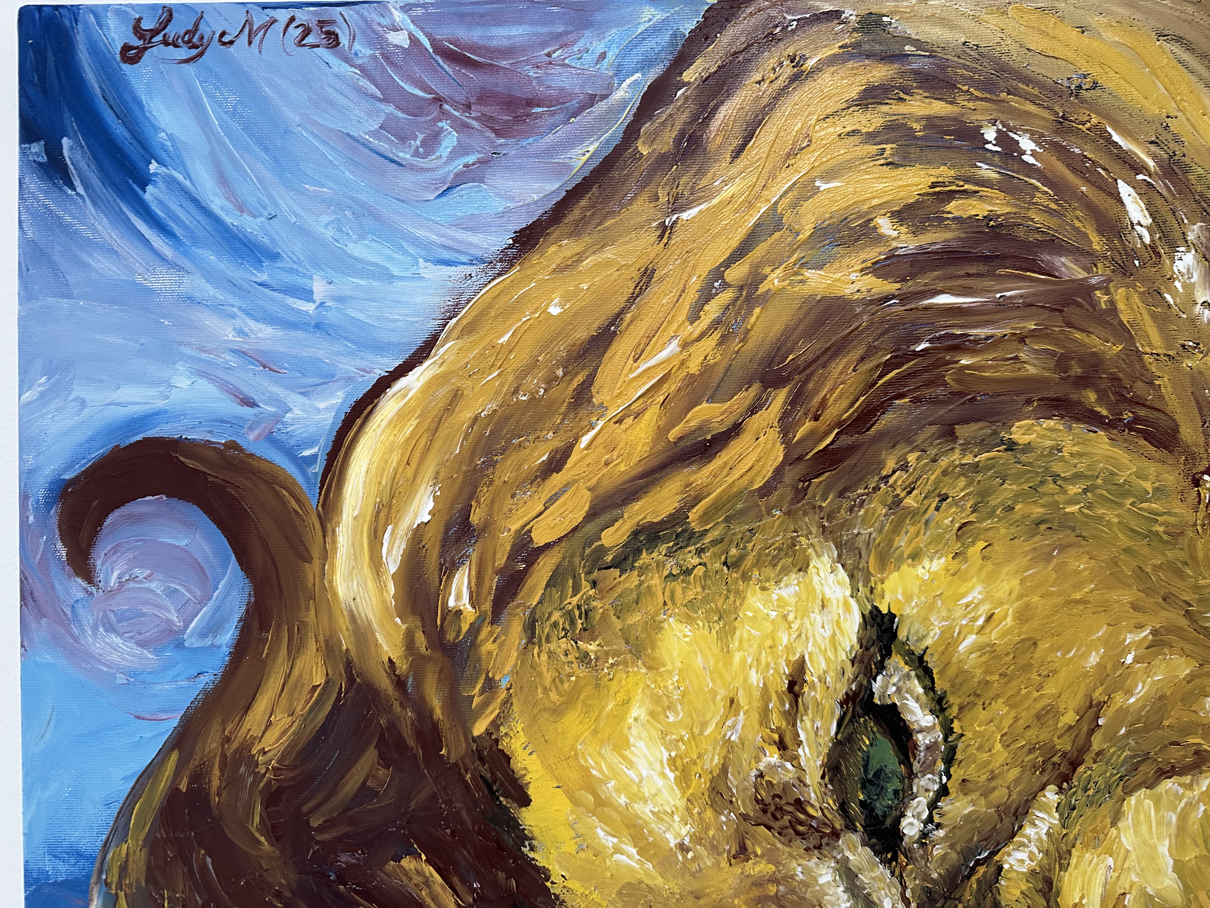 "Leone" Judy Mazzotti 2025