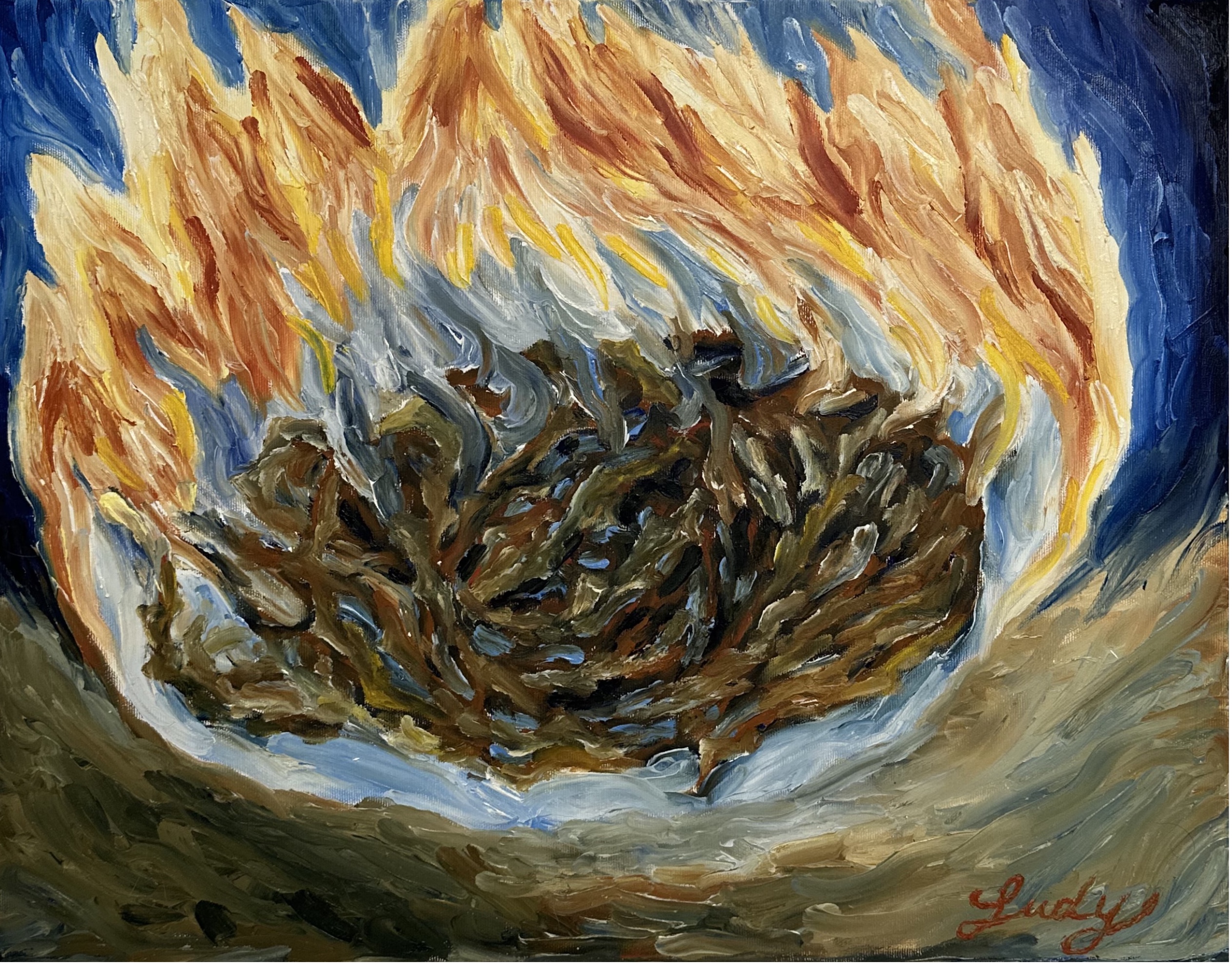 "Rovi di spine in fuoco" Judy Mazzotti 2025