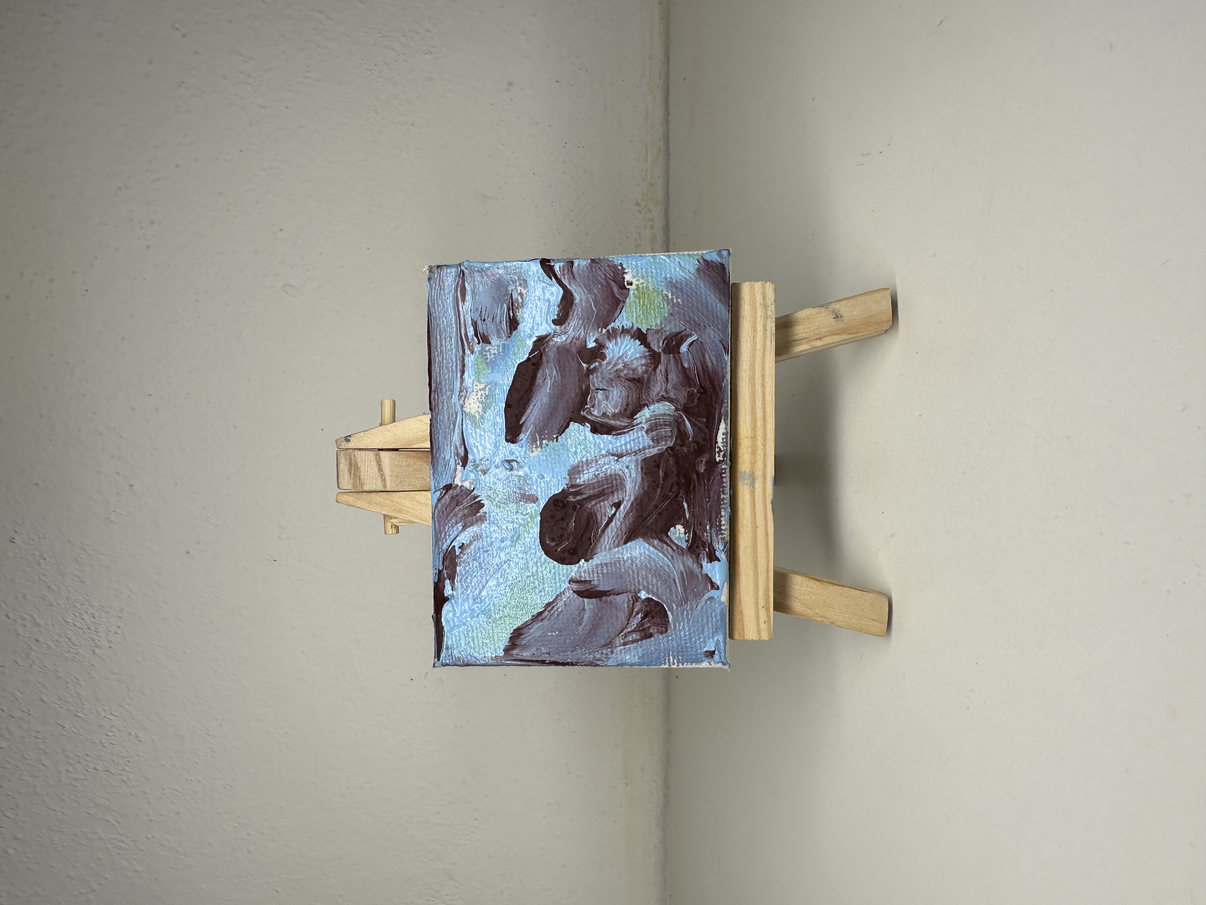 "Compassione" Judy Mazzotti 2025 