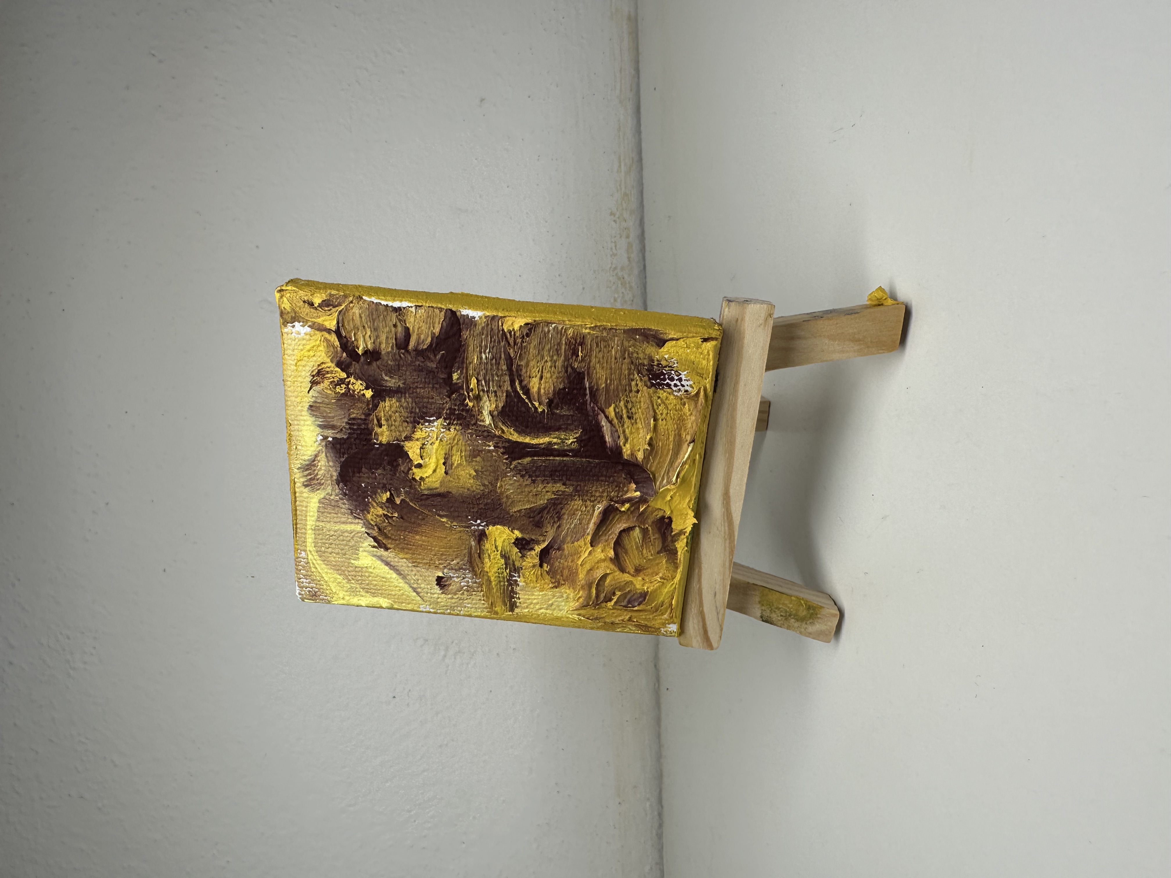 "Ia pays oubliè" Judy Mazzotti 2025