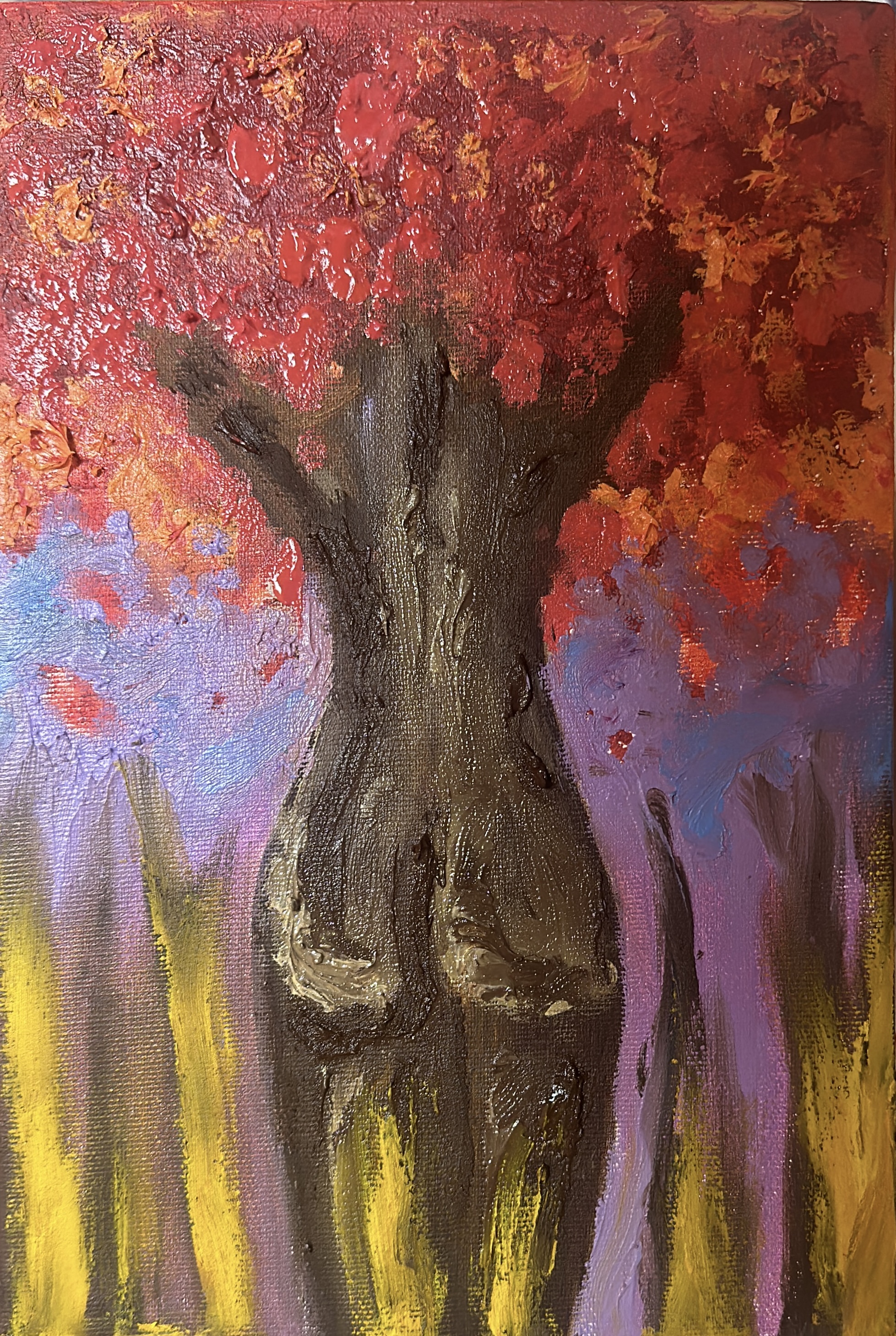 "Donna" Judy Mazzotti 2024