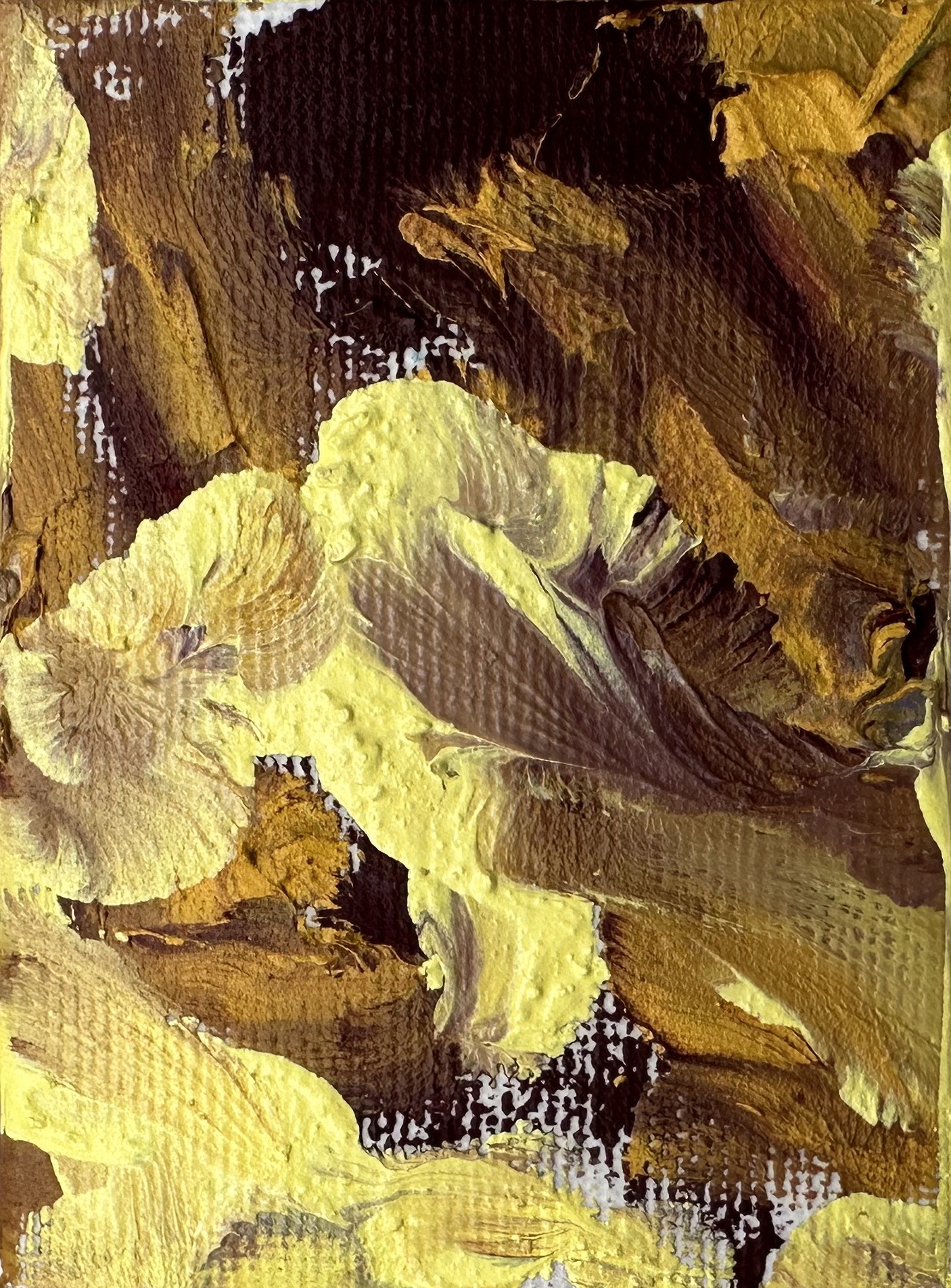 "Intrappolati" Judy Mazzotti 2025