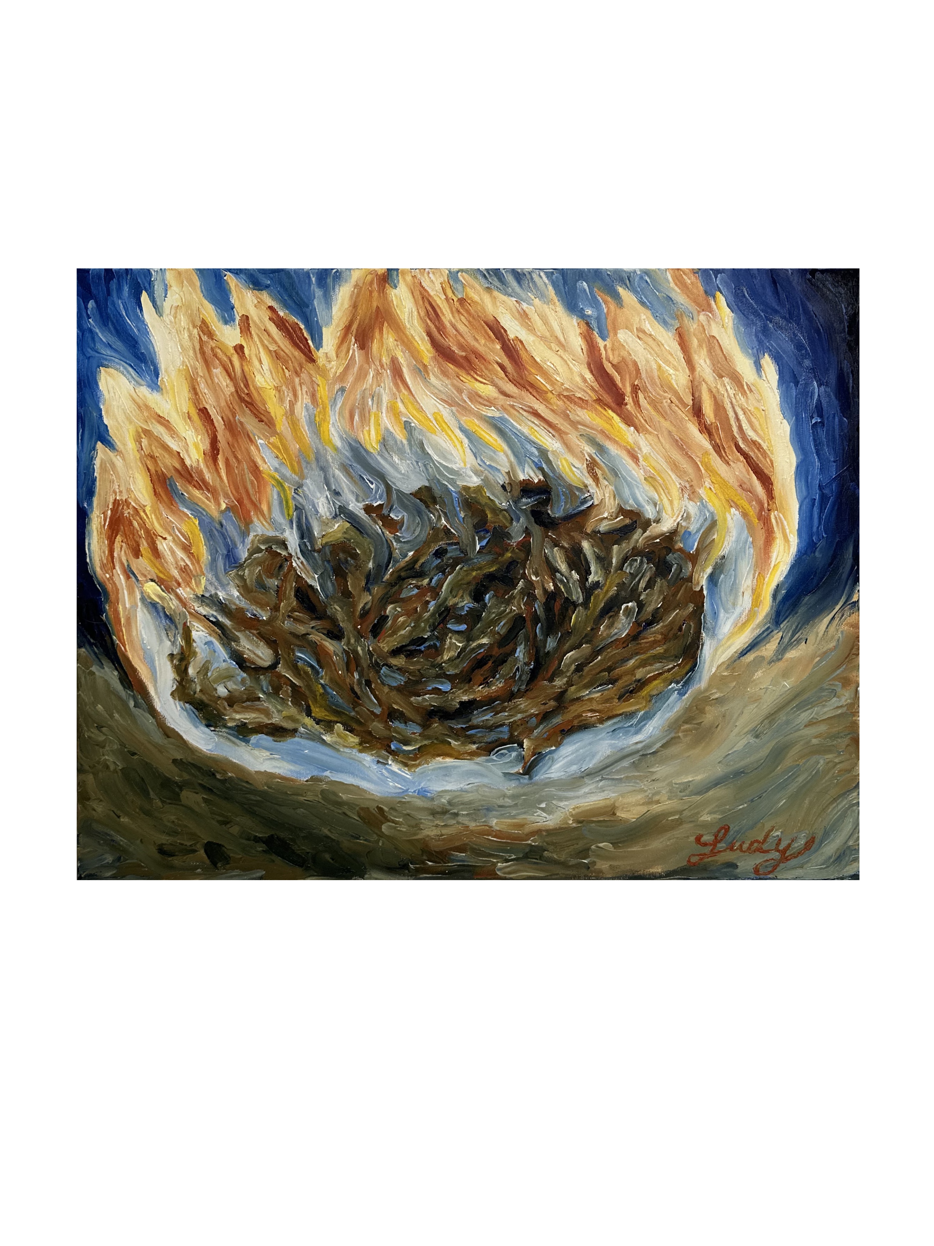 "Rovi di spine in fuoco" Judy Mazzotti 2025 N°96