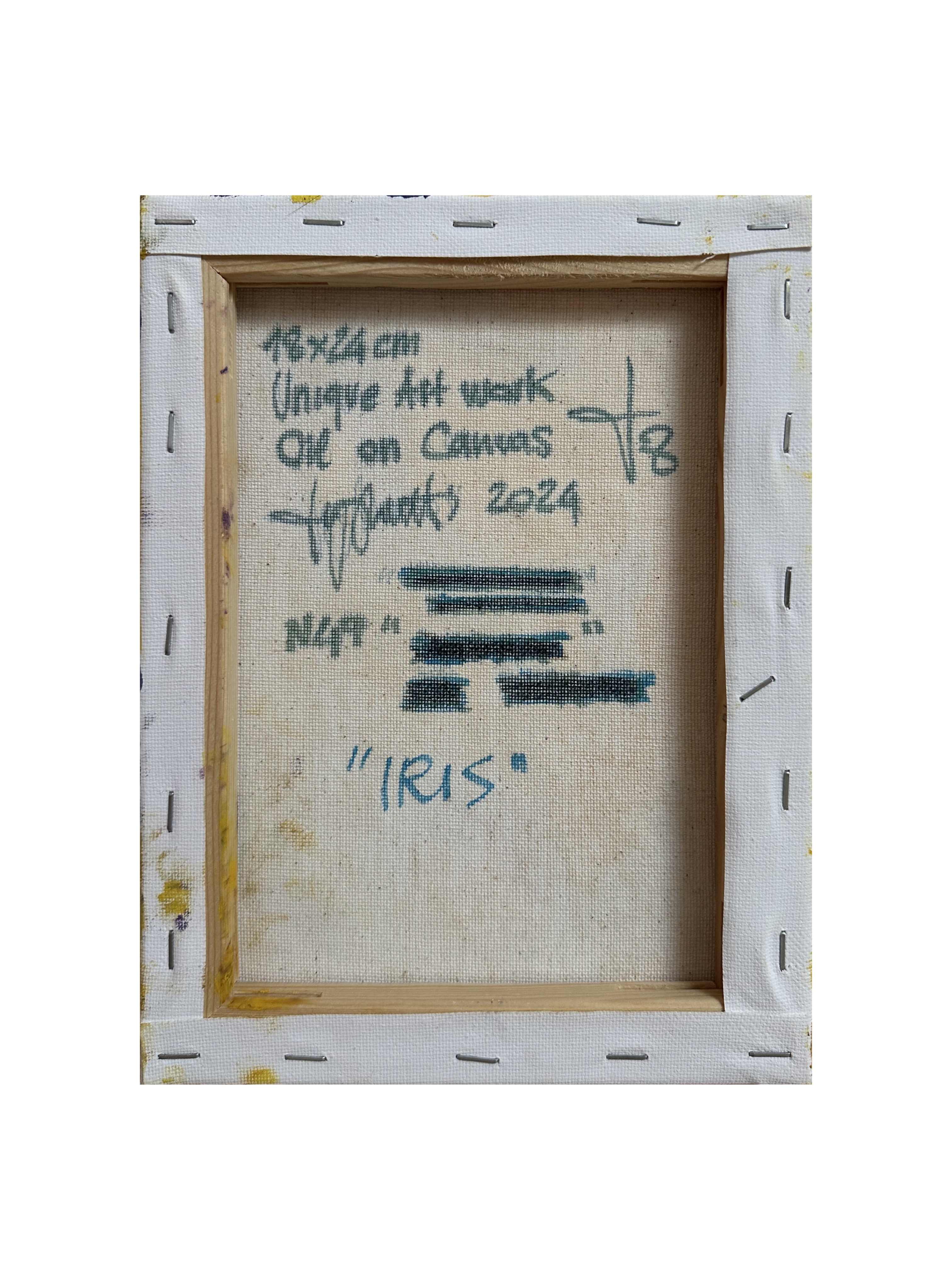 "Iris" Judy Mazzotti 2024 