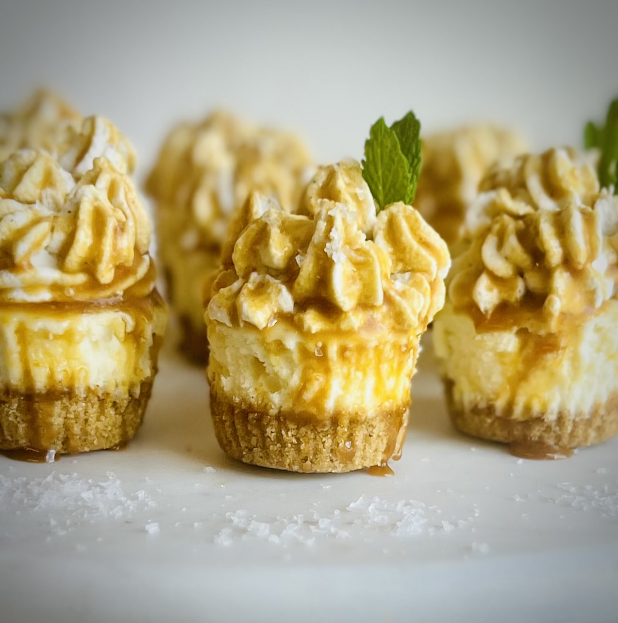 Say Cheese...cake!