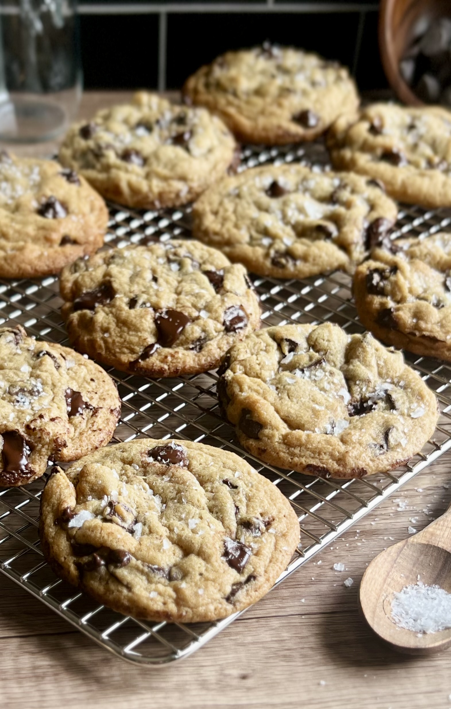 Chocolate Chip Cookie