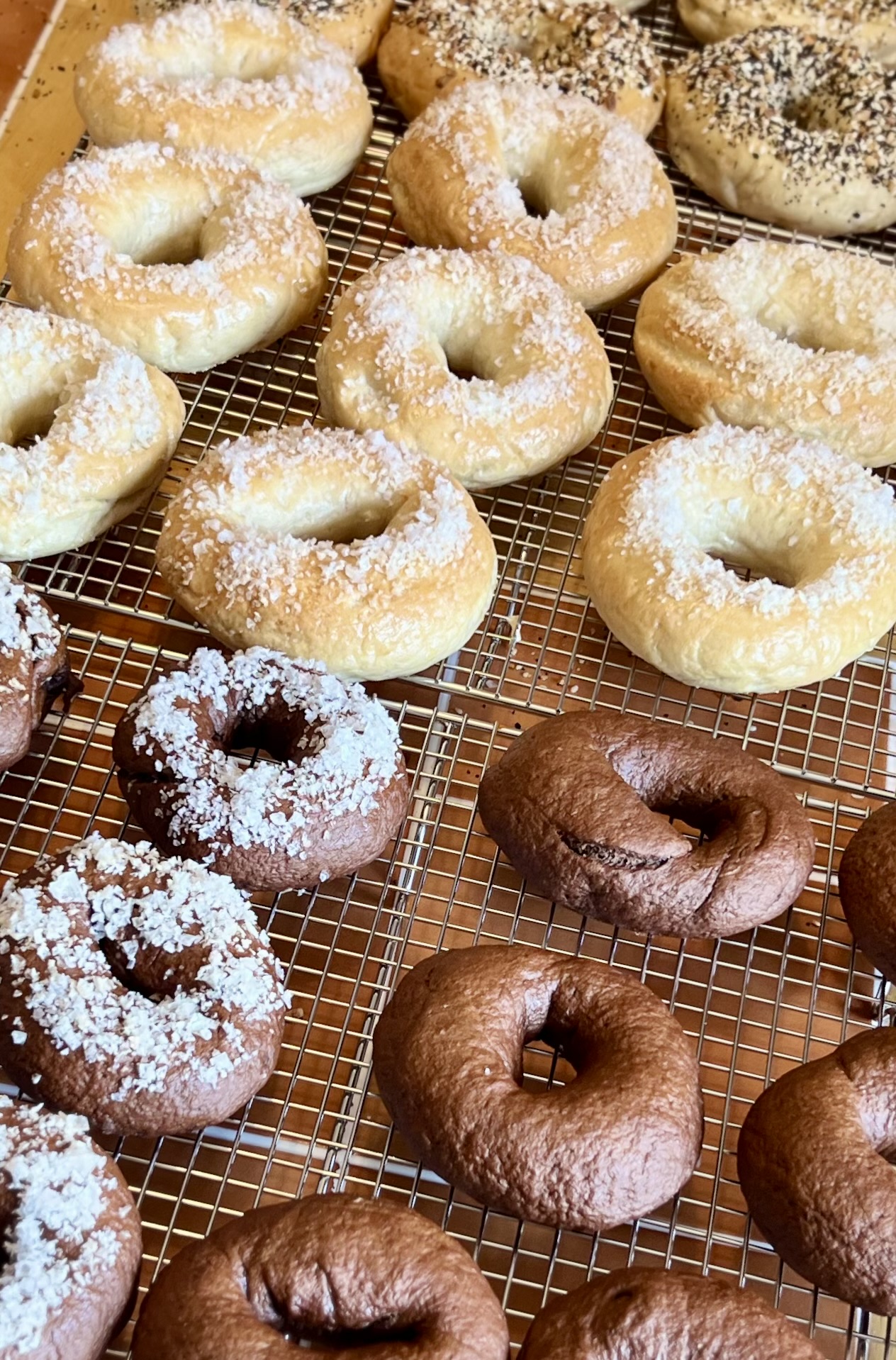 Homemade Bagels