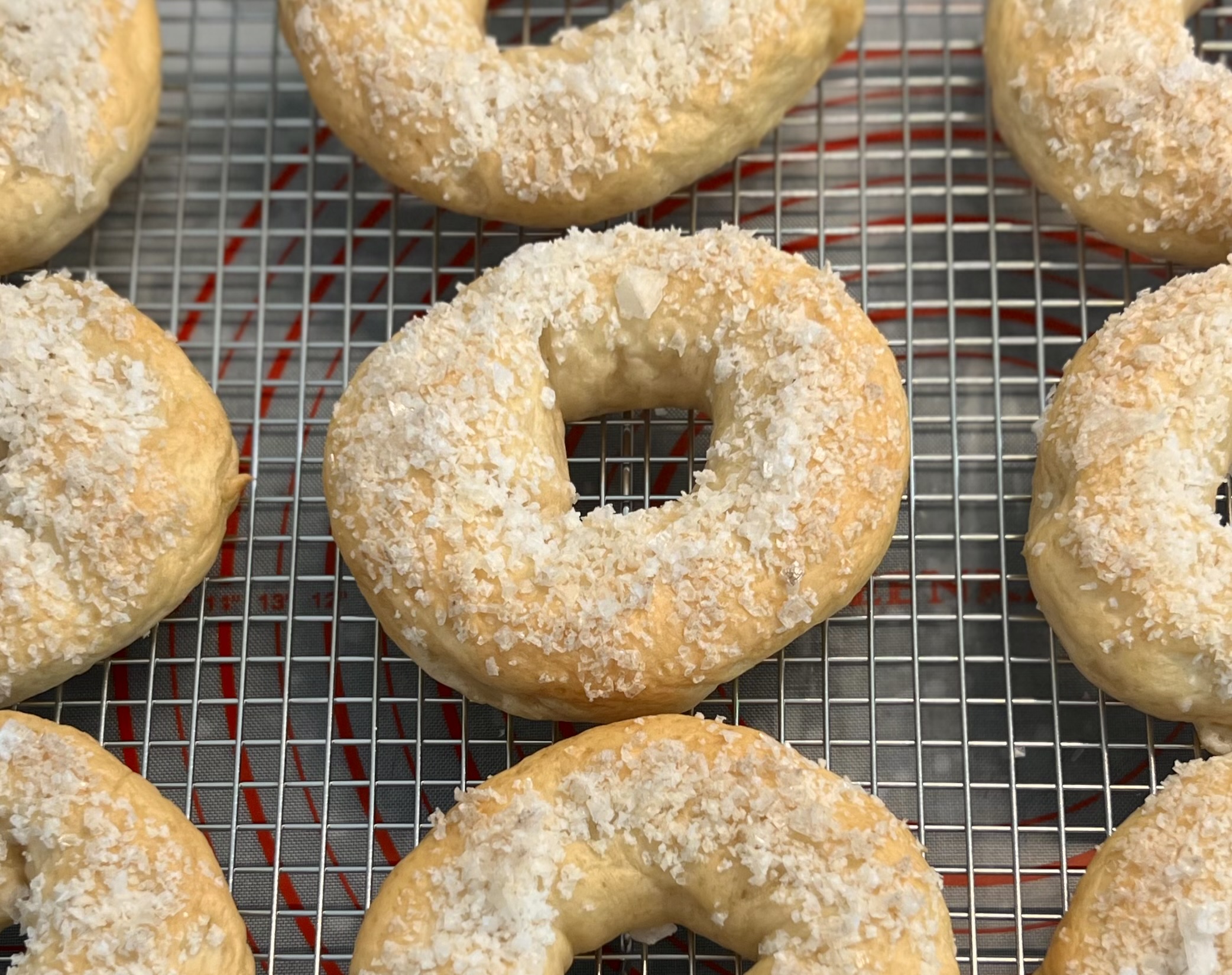 Homemade Bagels