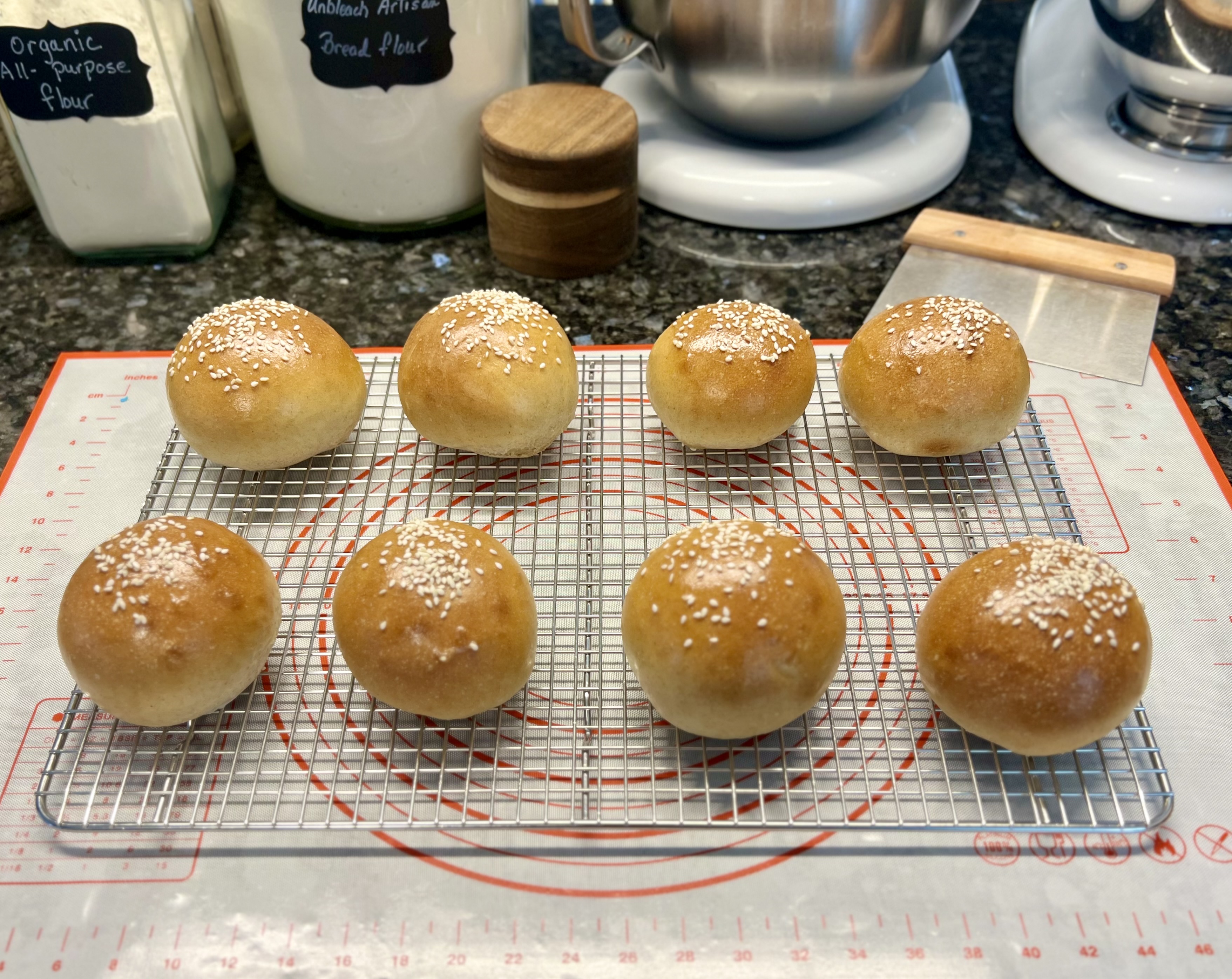 Freshly Baked Dinner Rolls