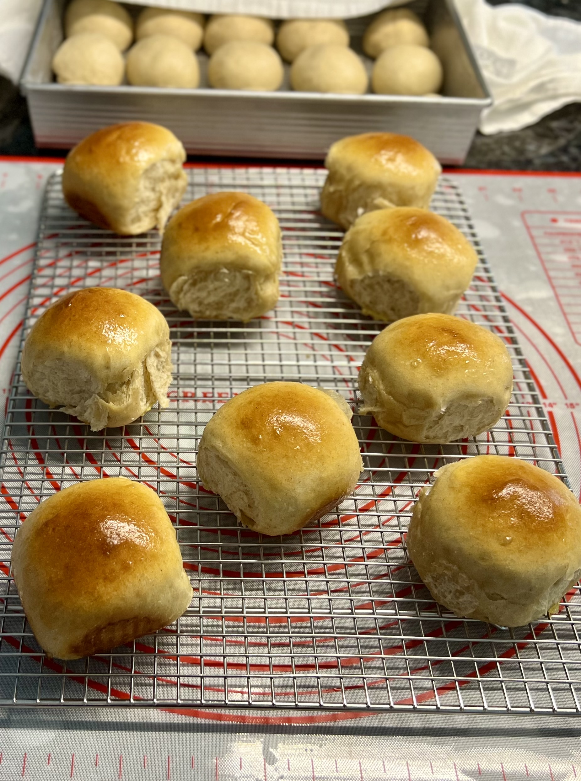Freshly Baked Dinner Rolls