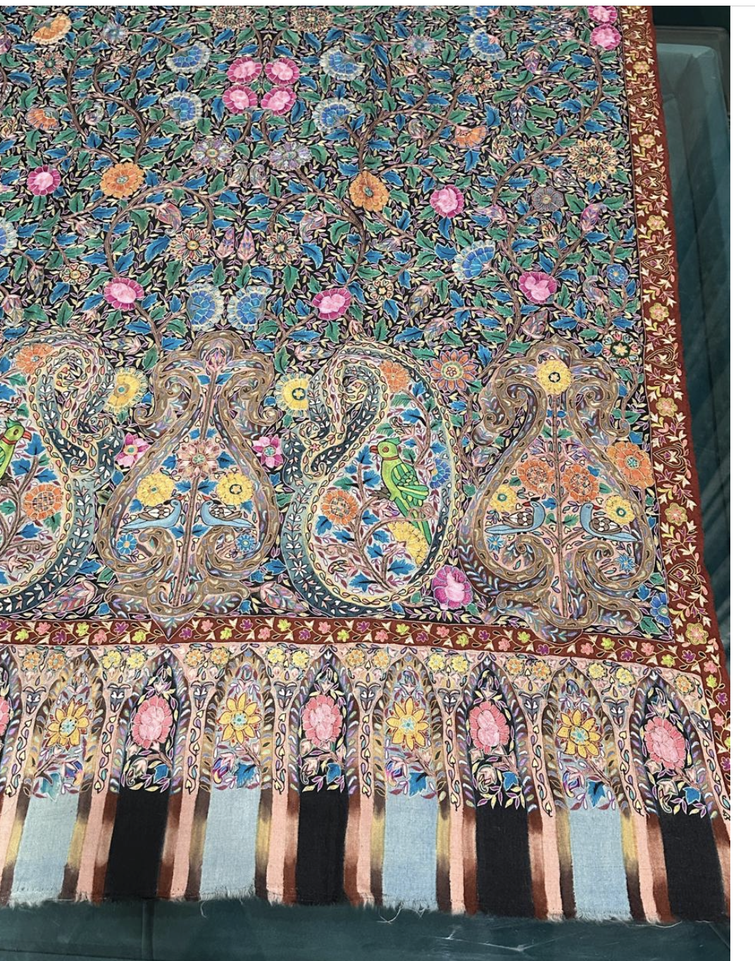 Pashmina Kalamkari Shawls