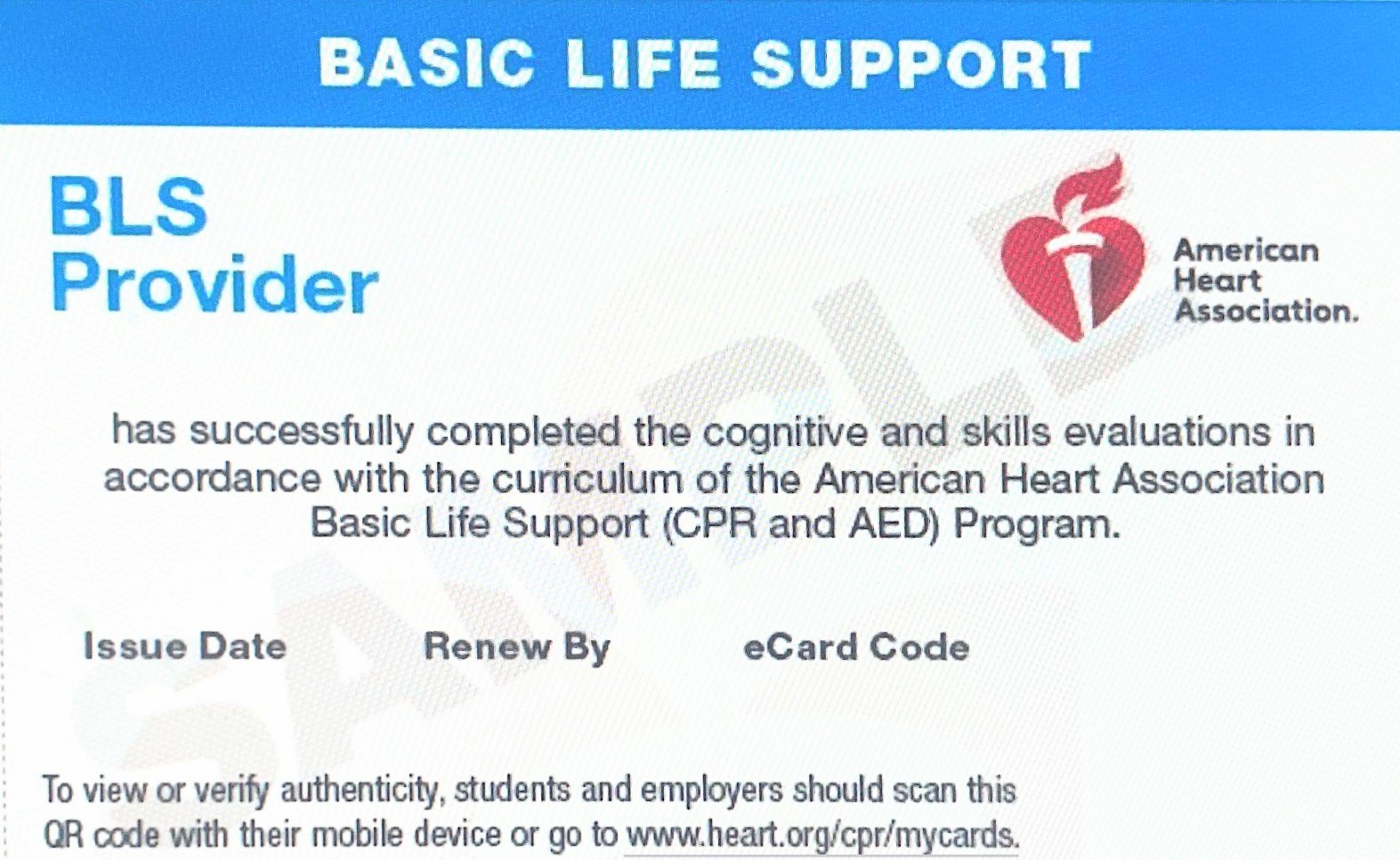 BLS Blended Course
