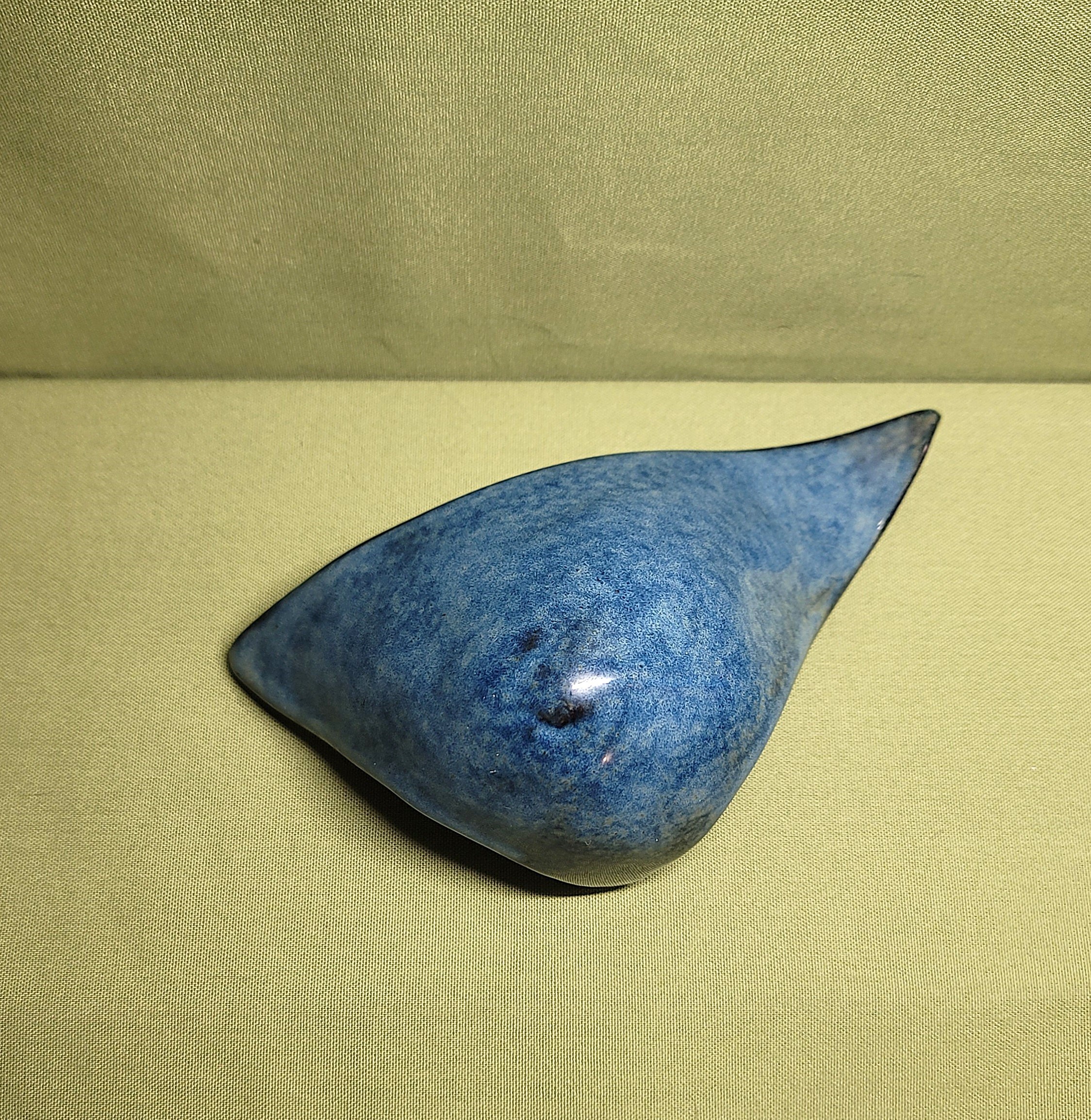 Shark Blu