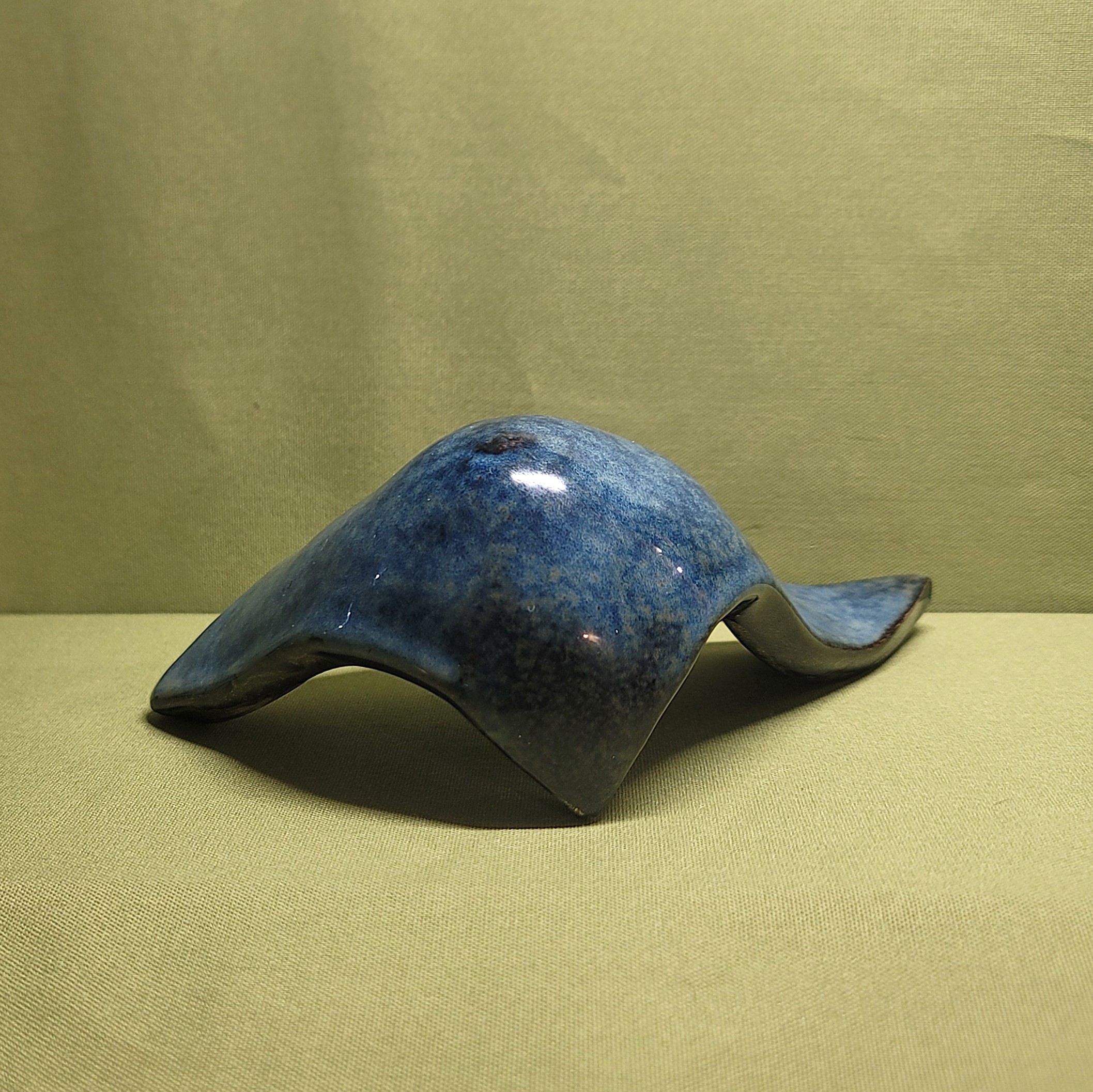 Shark Blu