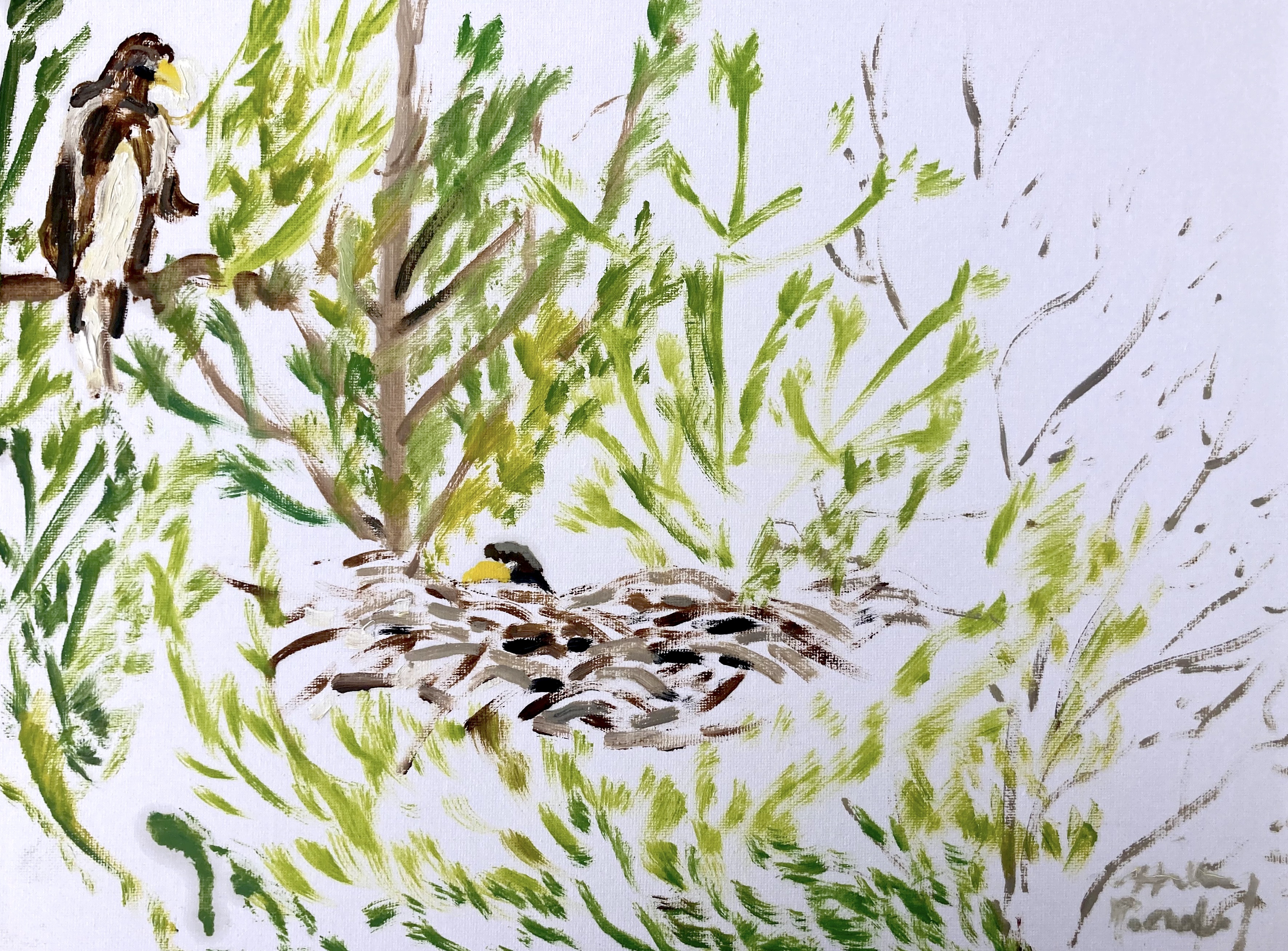 Majestic Sea Eagles Oil Painting