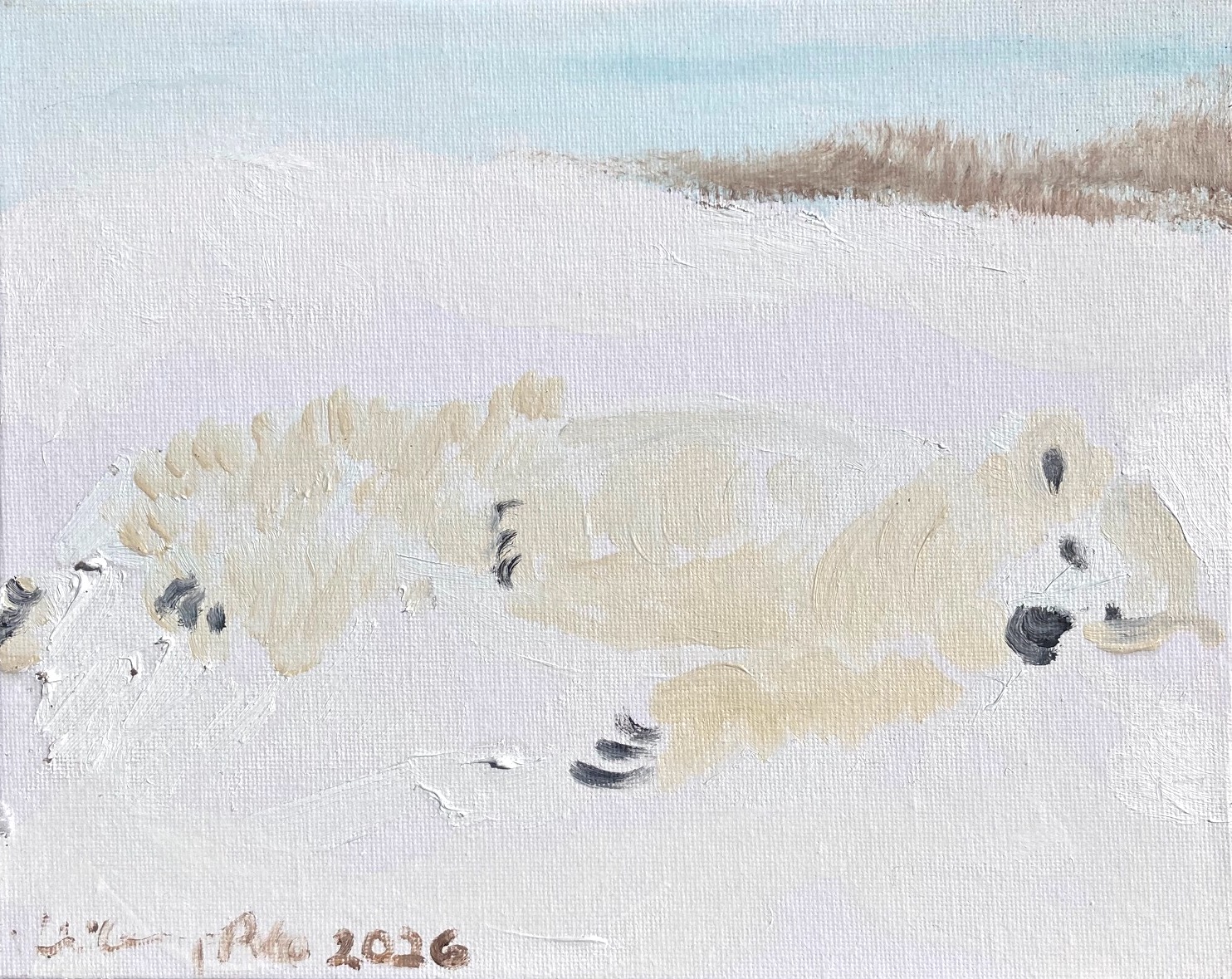 Napping  Polar Bear Painting