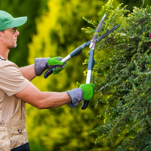 Monthly Garden Maintenance