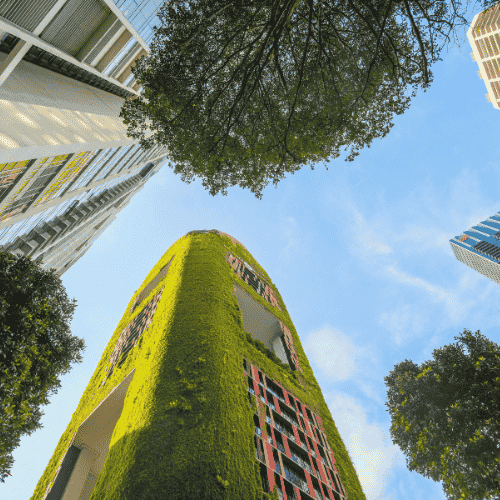 Vertical Gardens & Green Walls