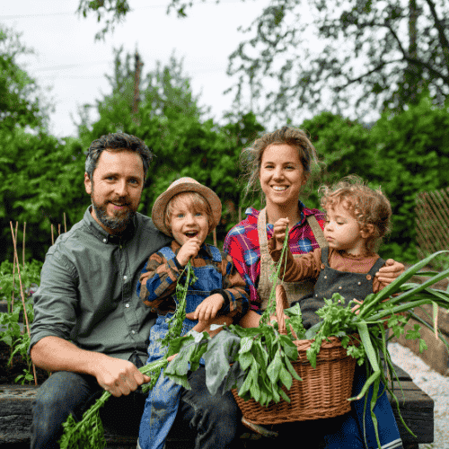 Edible Gardens & Organic Planters