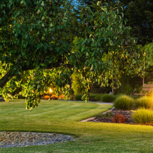 Zen & Meditation Garden Spaces