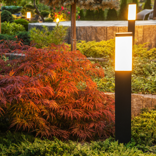 Estilo y Renovación de Plantas al Aire Libre