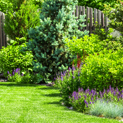 Luxury Garden Design