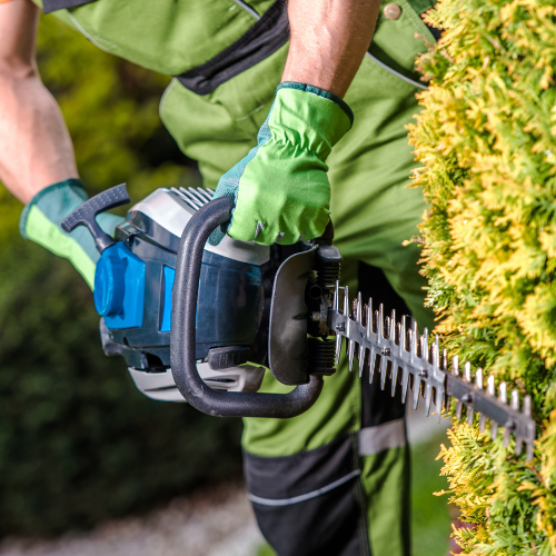 Monthly Garden Maintenance