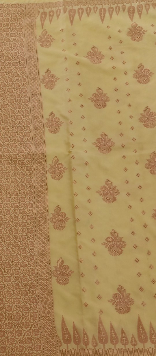 Traditional Indian Saree