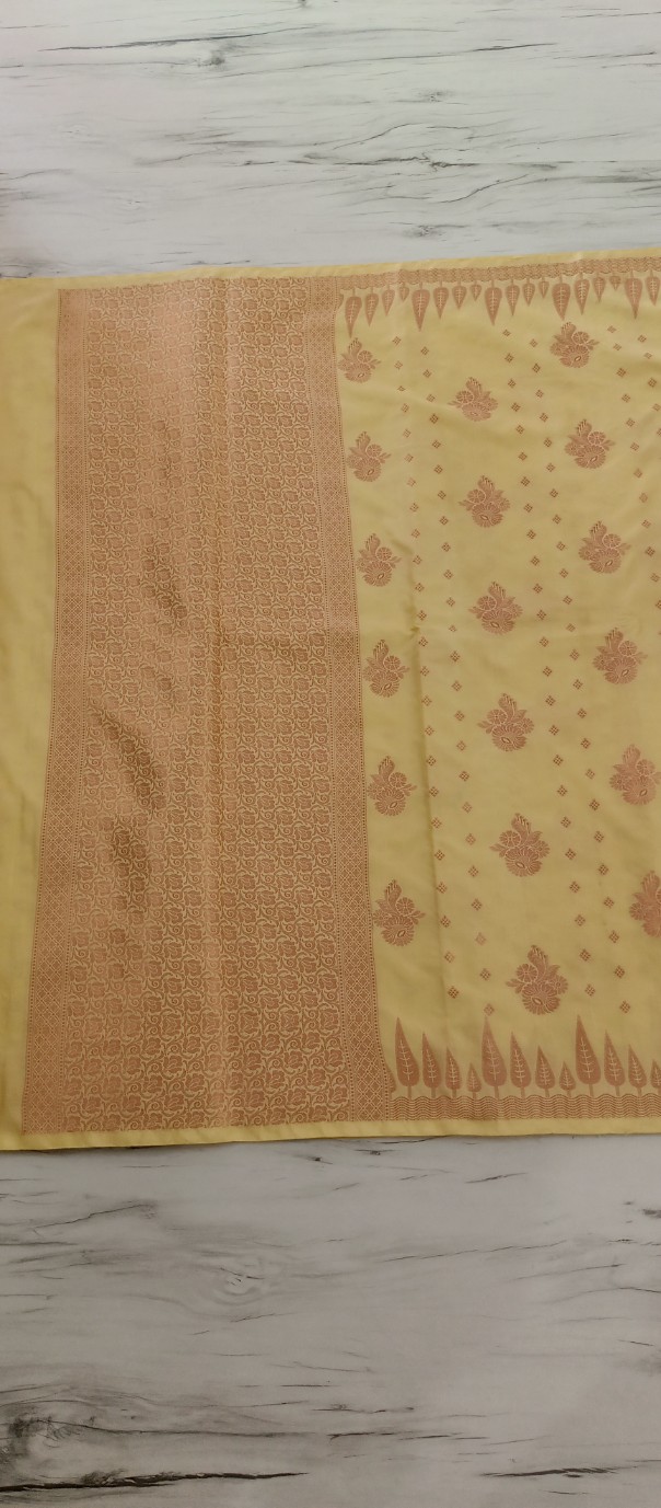 Traditional Indian Saree