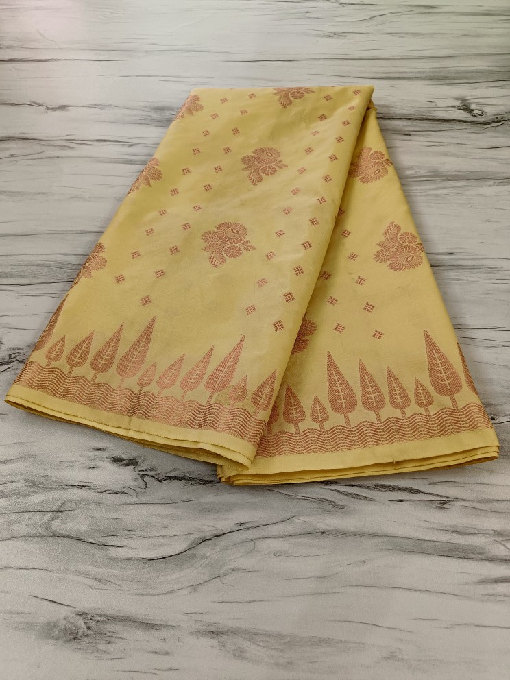 Traditional Indian Saree