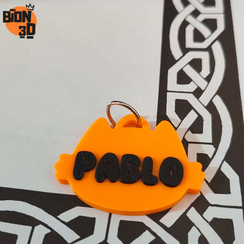 Personalized Pet collar tag