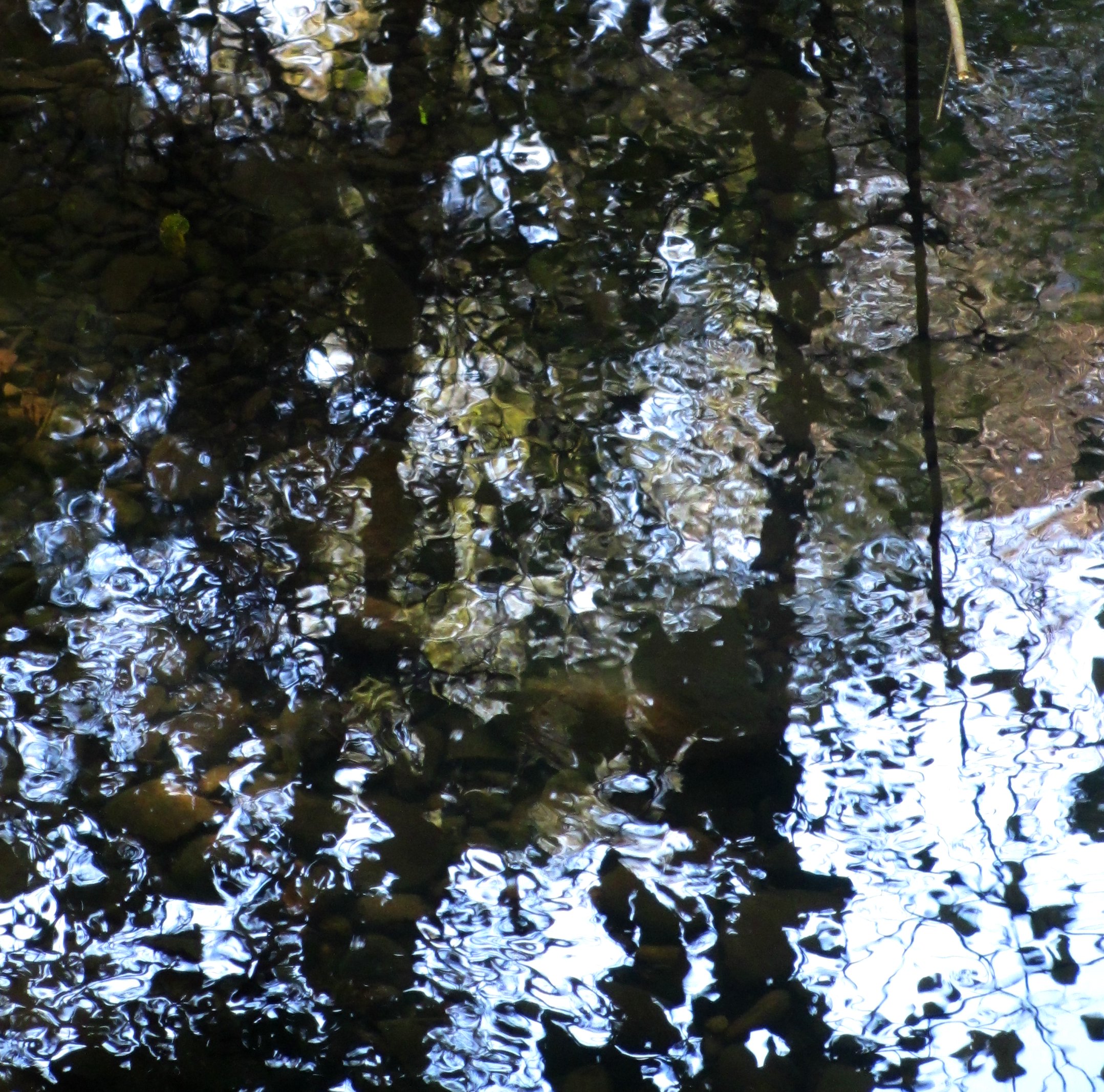 Natural Stream Water