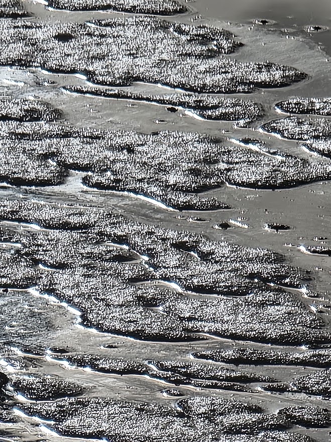 Natural Riverbed Stones