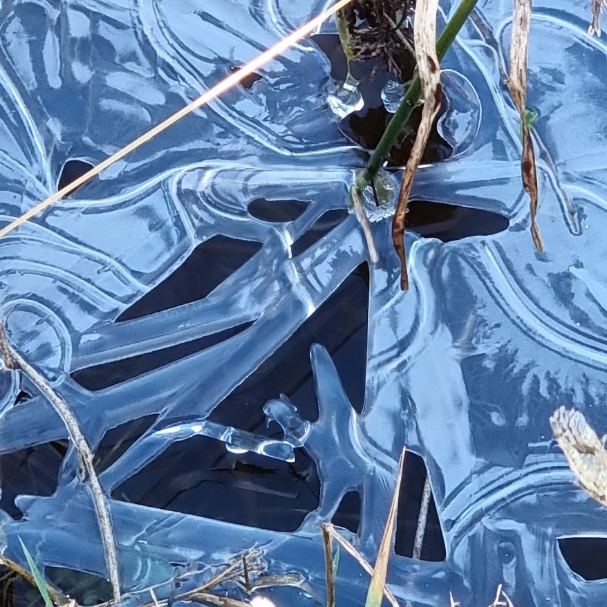 Natural Ice Formation