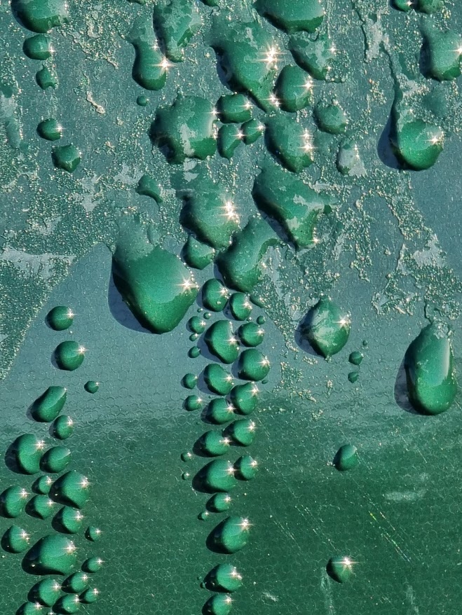 Water-Repellent Car Coating