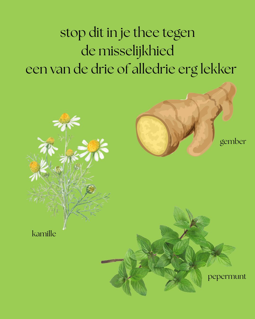 Natuurlijke kruidenremedie set