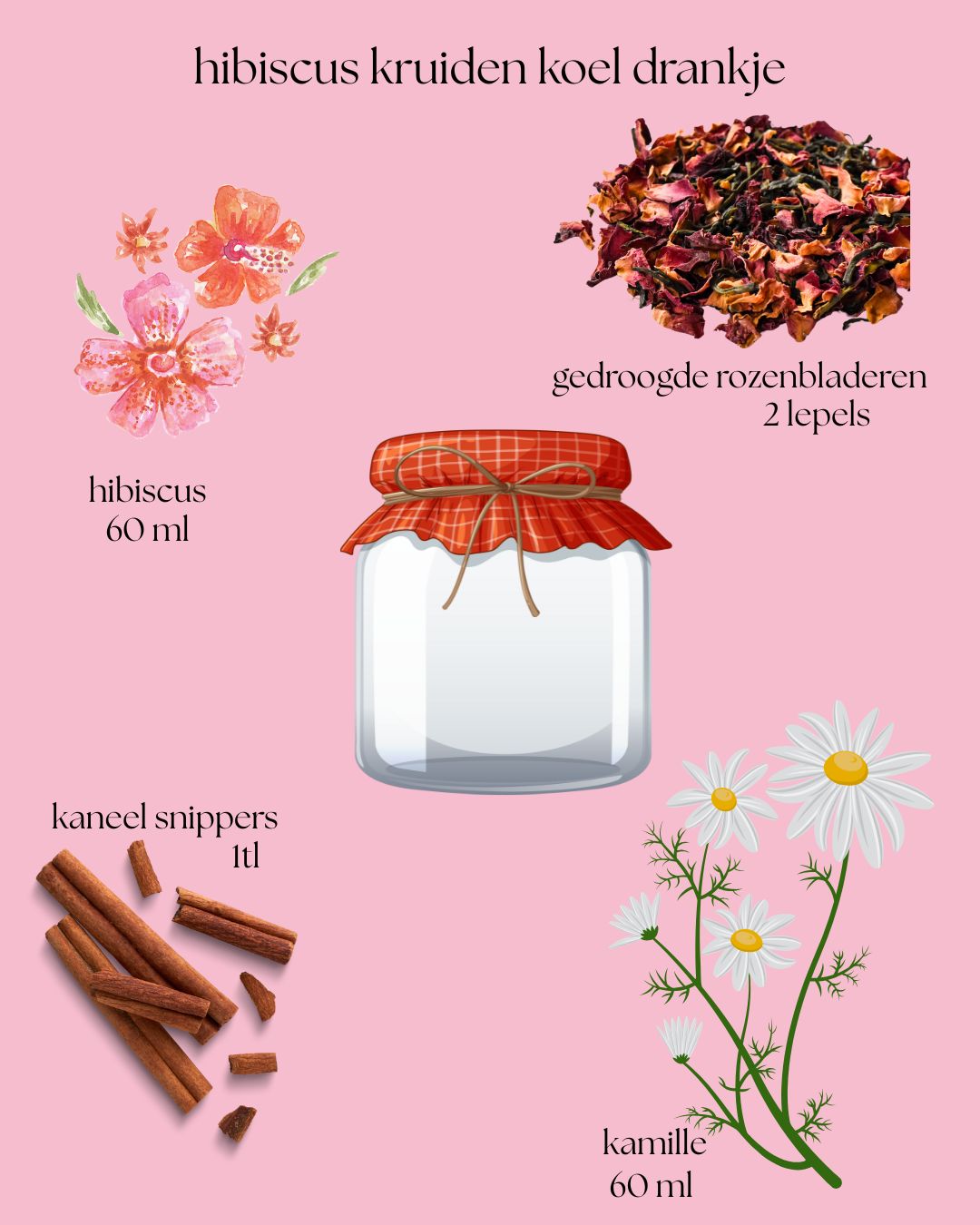 Hibiscus Herbal Iced Drink Kit