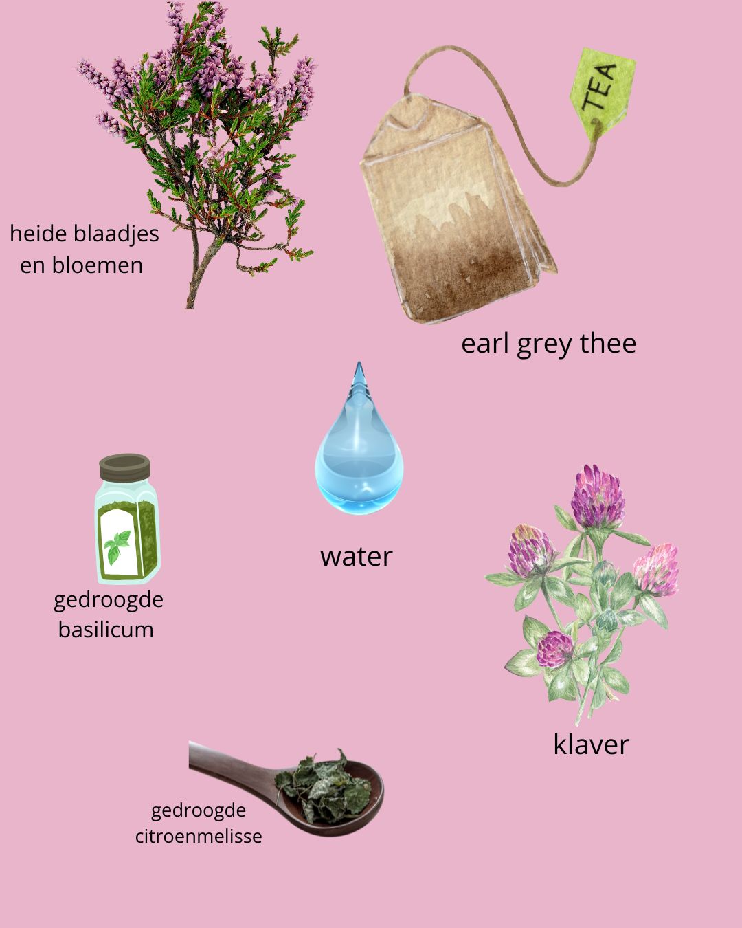 Herbal Tea Blend Kit