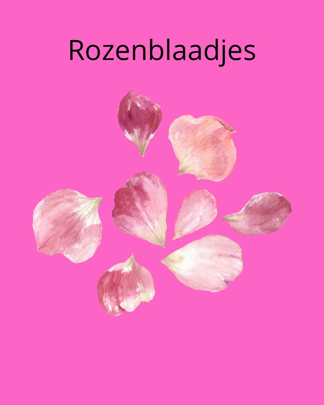 Rozenblaadjes